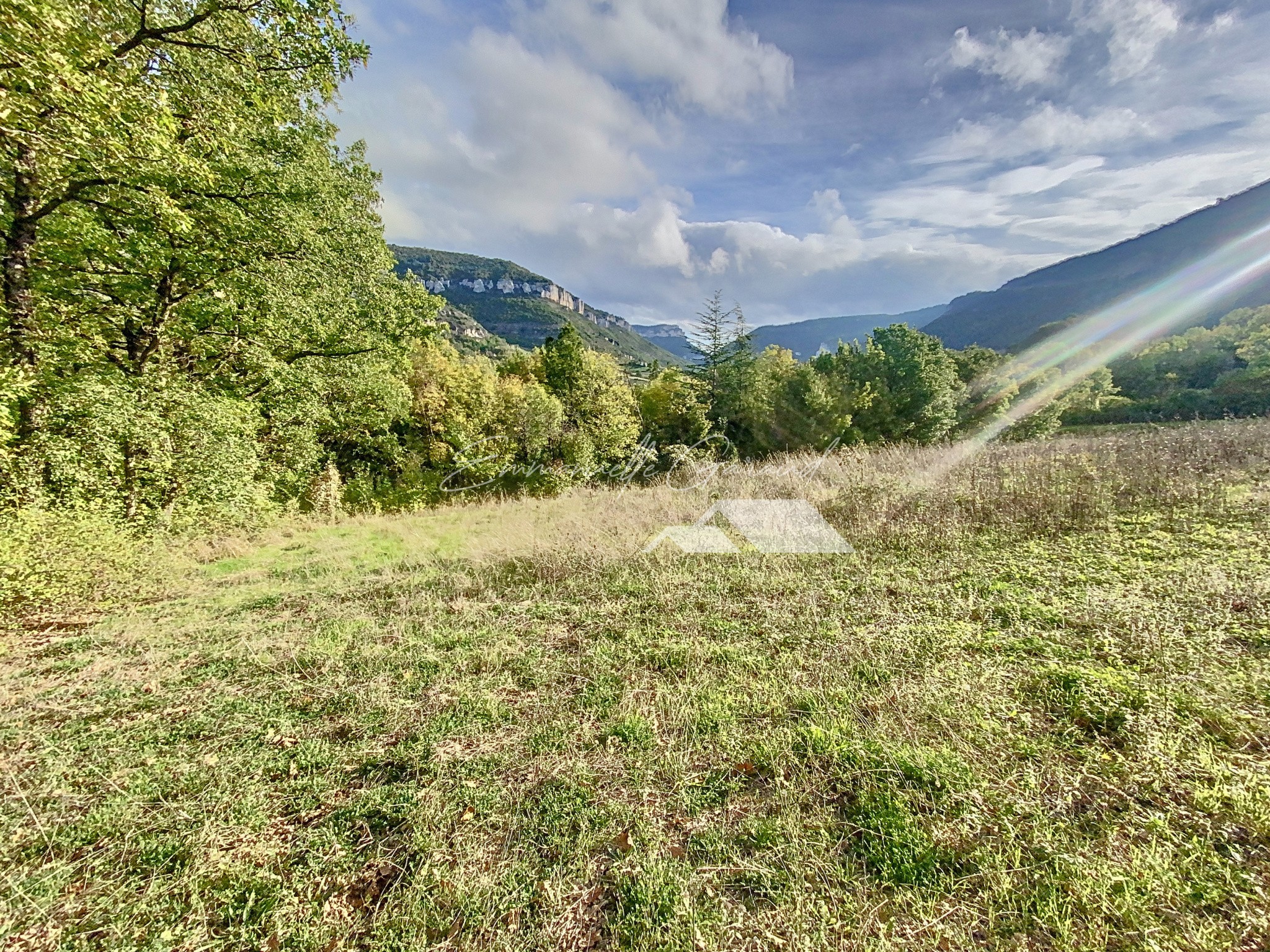 Vente Terrain à Millau 1 pièce