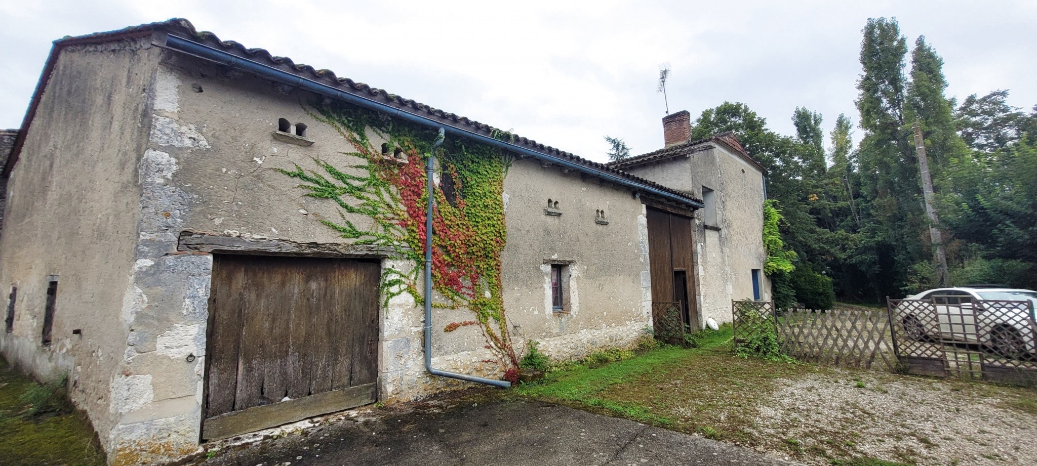 Viager Maison à Eymet 7 pièces