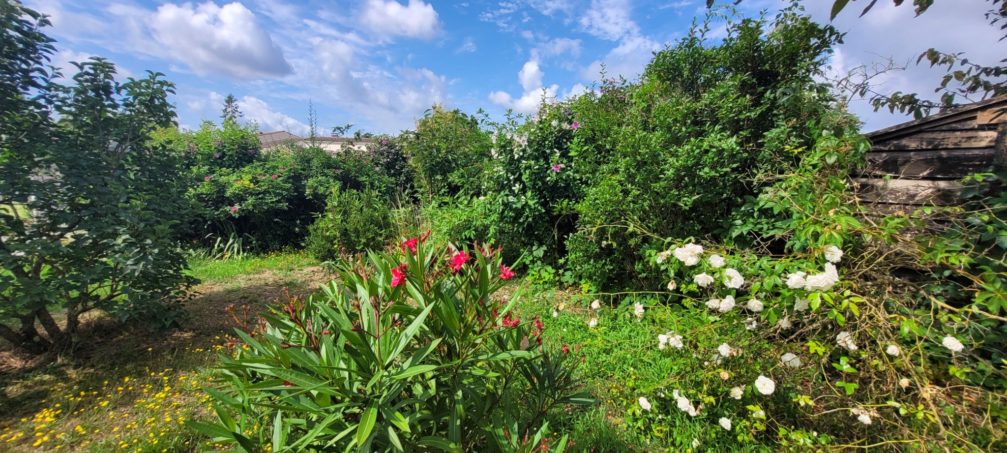 Viager Maison à Angoulême 5 pièces