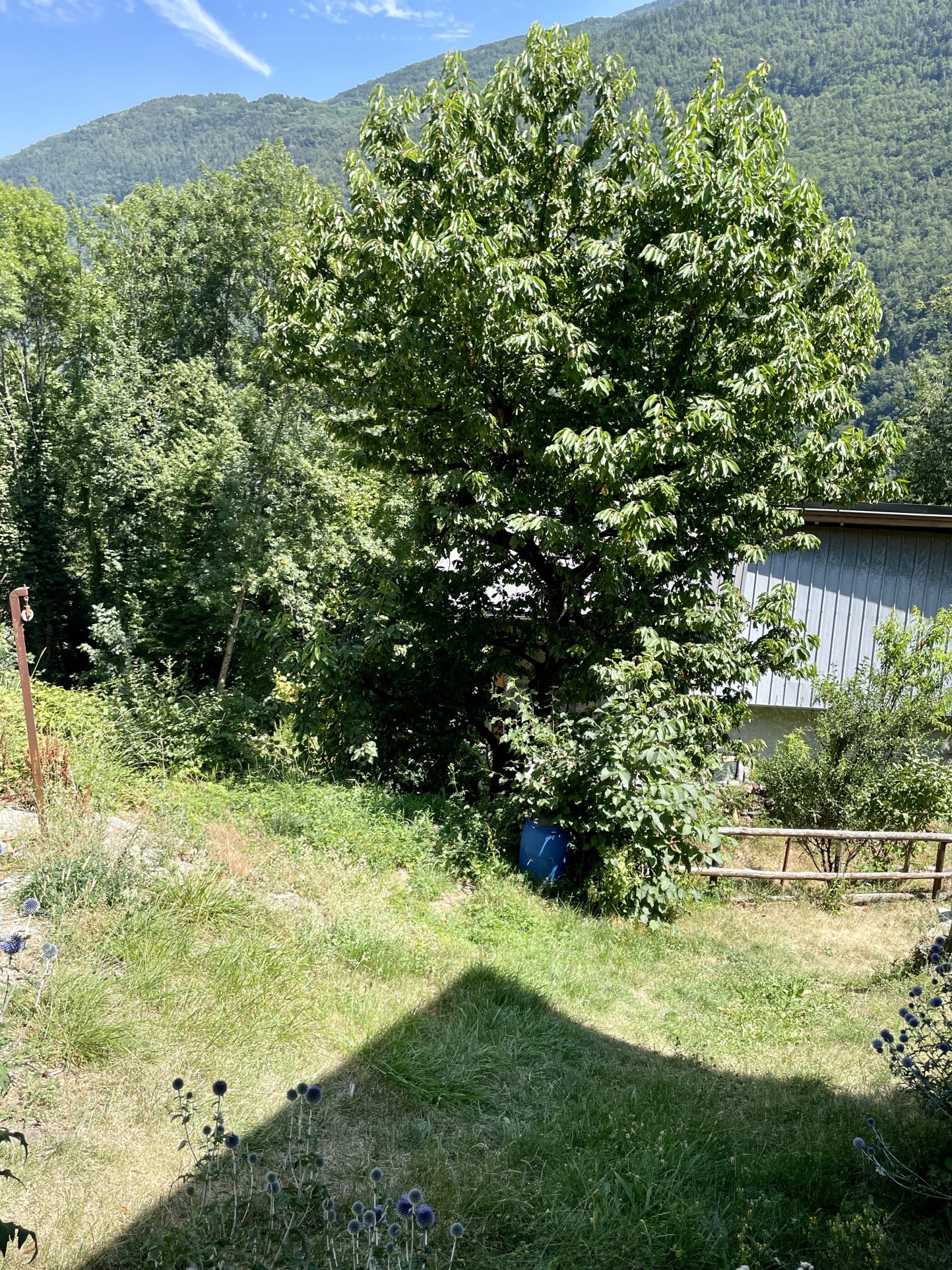 Vente Maison à Montgirod 5 pièces