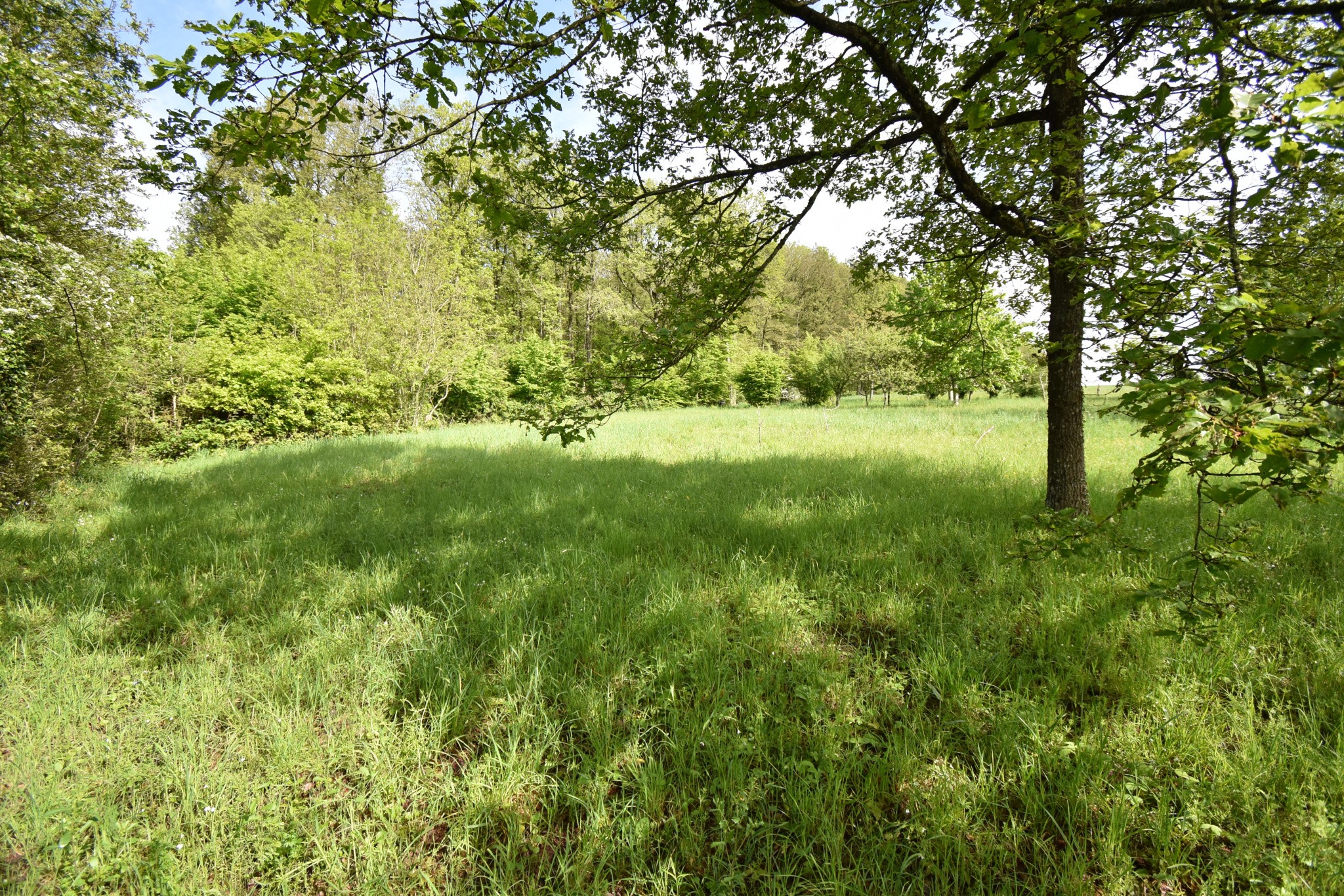 Vente Terrain à Luigny 0 pièce