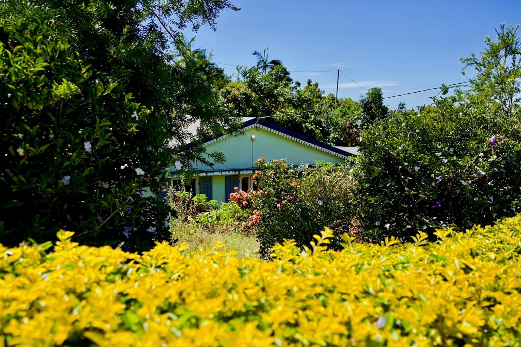 Vente Maison à Petite-Île 5 pièces