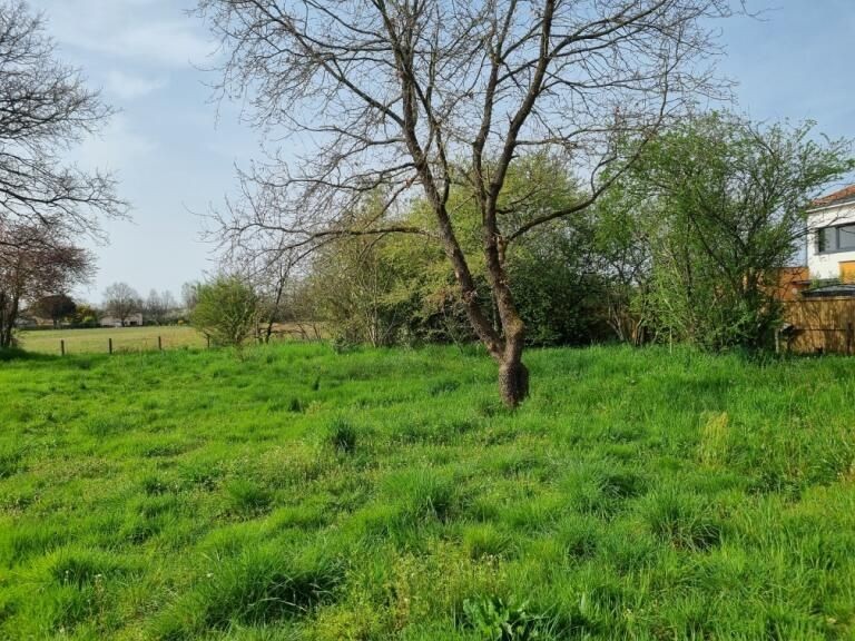 Vente Maison à Montauban 4 pièces