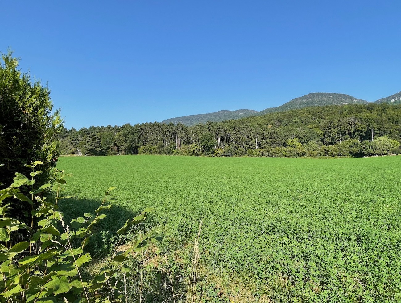 Vente Maison à Divonne-les-Bains 7 pièces