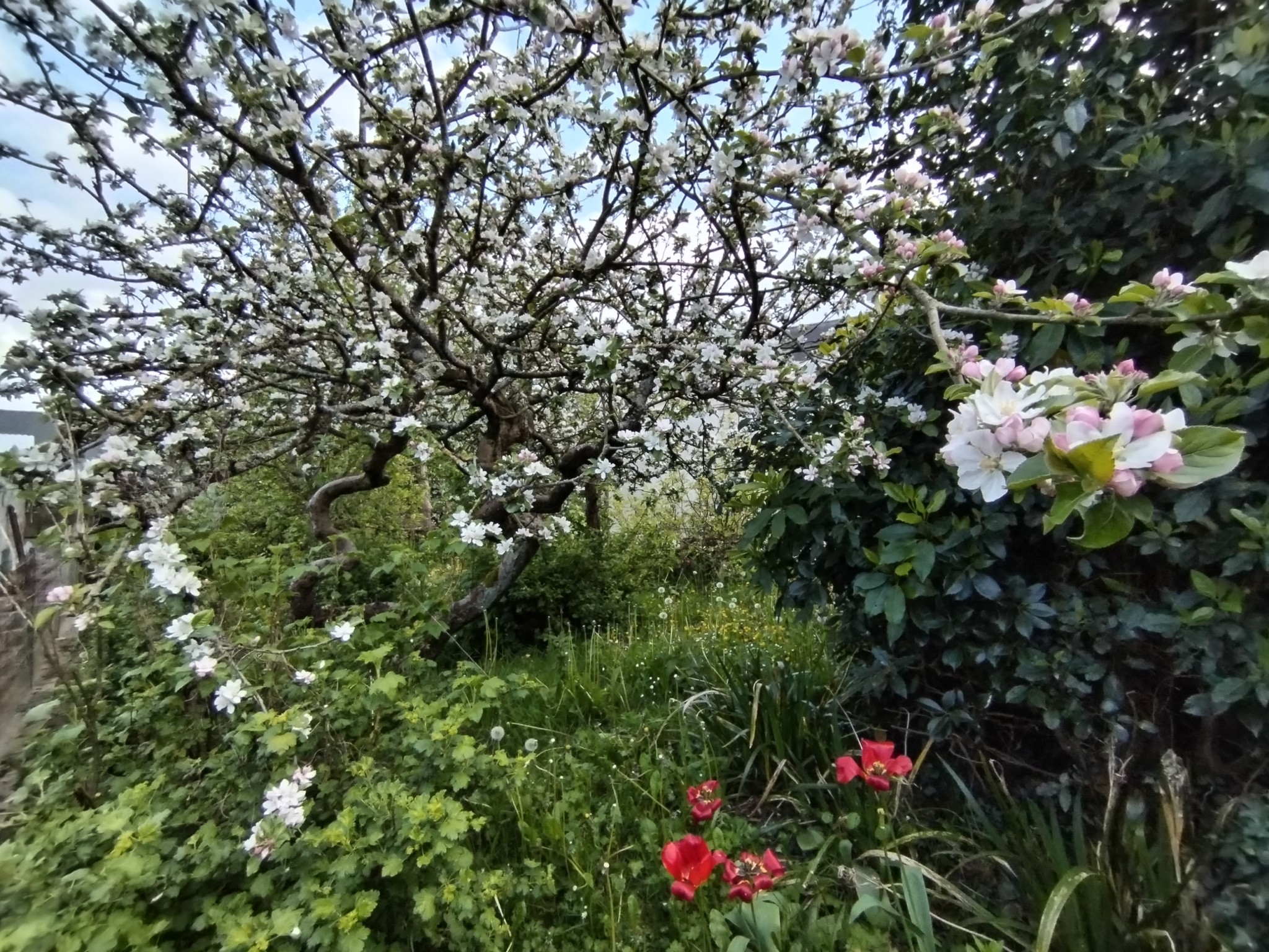 Vente Maison à Fougères 4 pièces