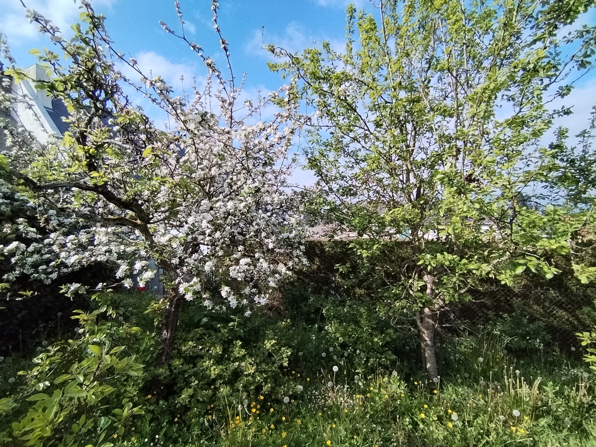 Vente Maison à Fougères 4 pièces