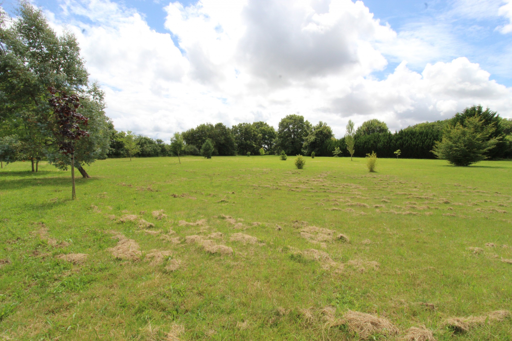 Vente Maison à la Guerche-sur-l'Aubois 5 pièces