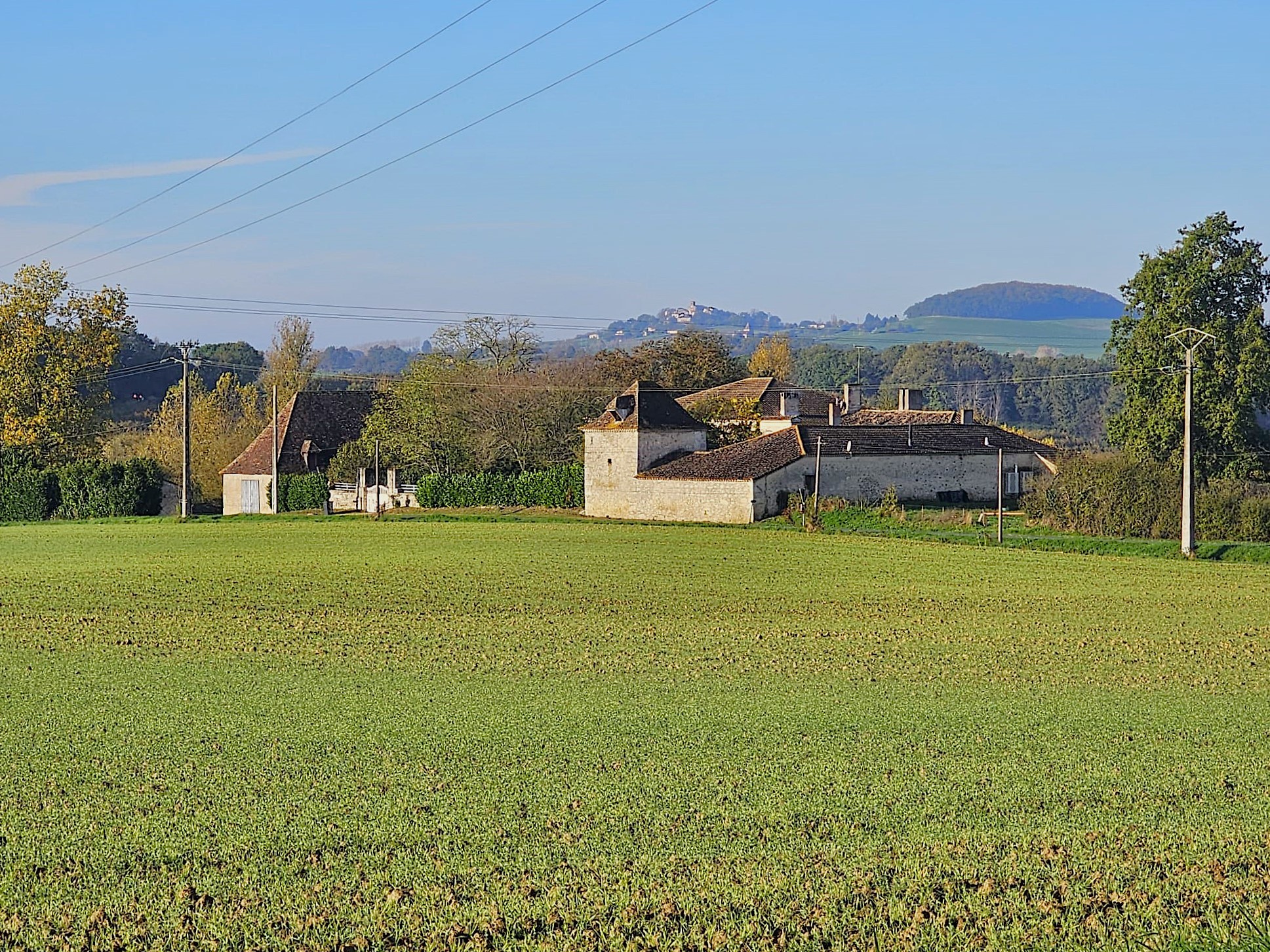 Vente Maison à Pinel-Hauterive 11 pièces