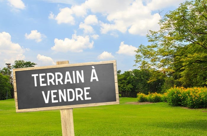 Vente Terrain à Montlhéry 0 pièce