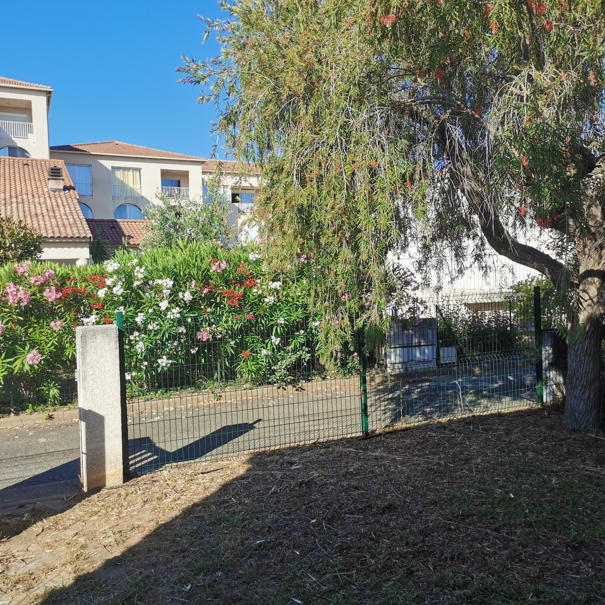 Vente Maison à Cervione 3 pièces