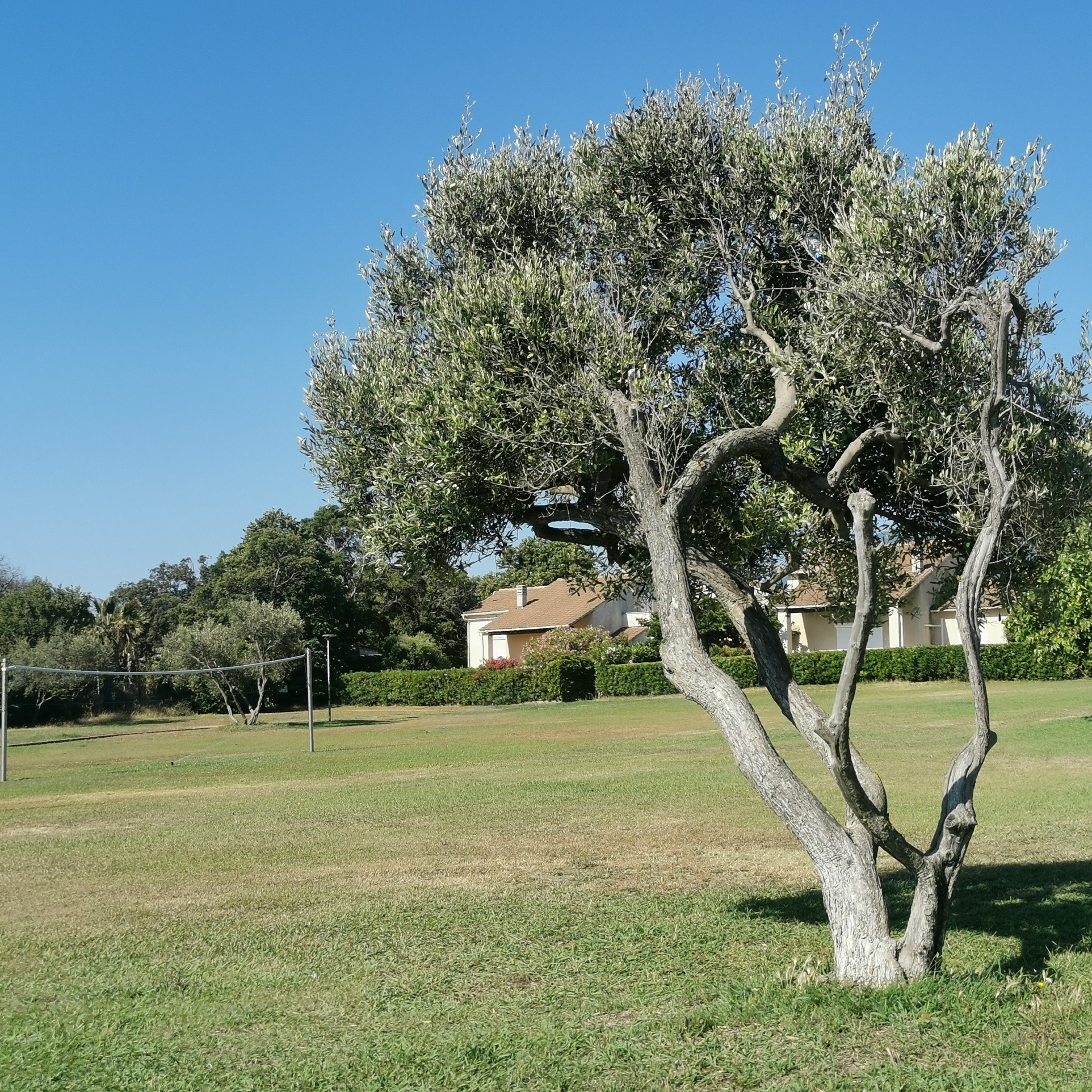 Vente Maison à Cervione 3 pièces