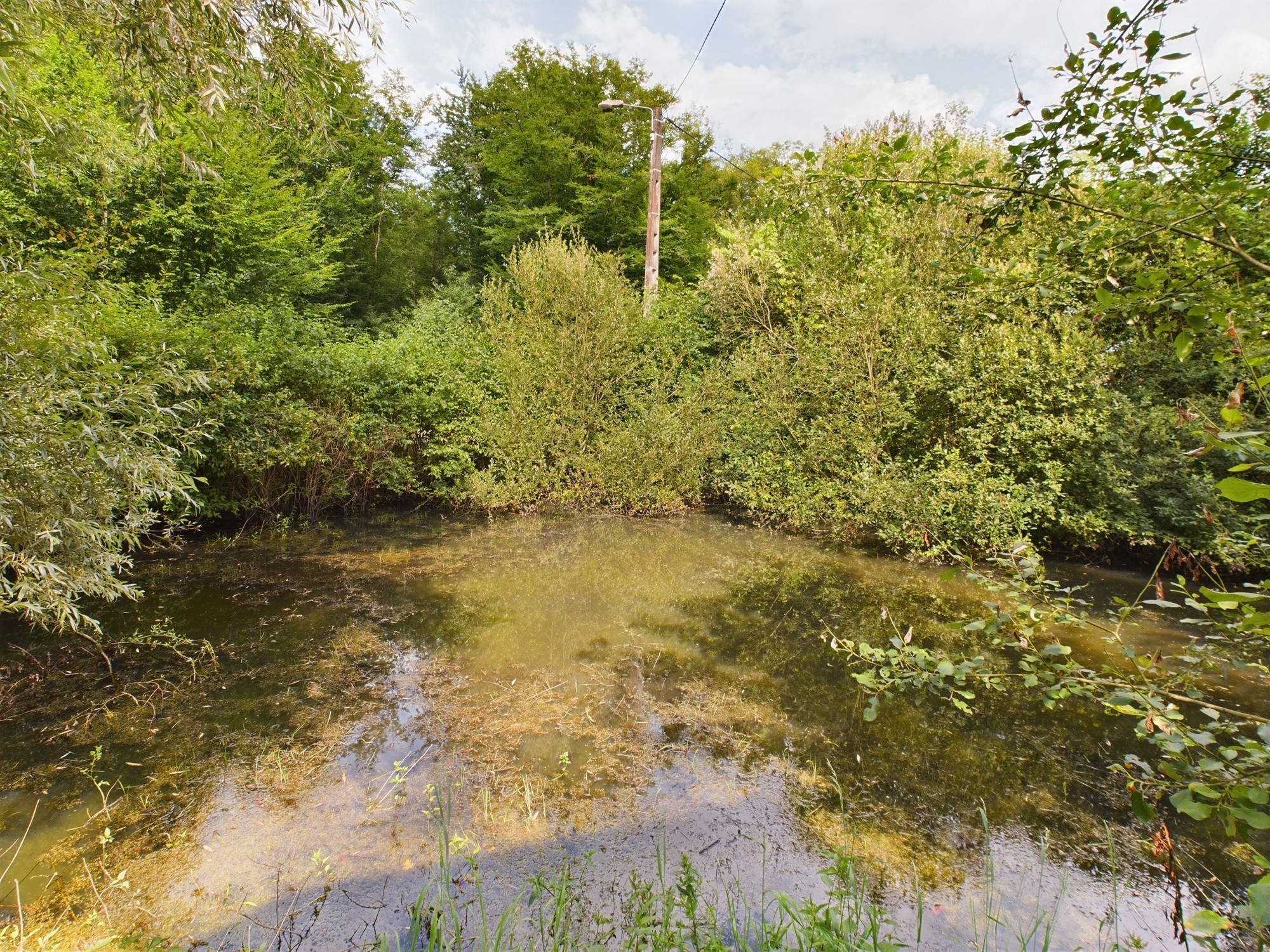 Vente Maison à Charny 5 pièces