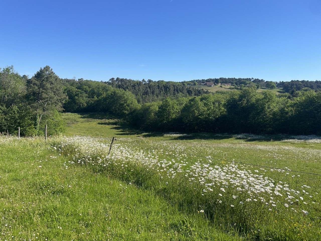 Vente Maison à Monflanquin 6 pièces