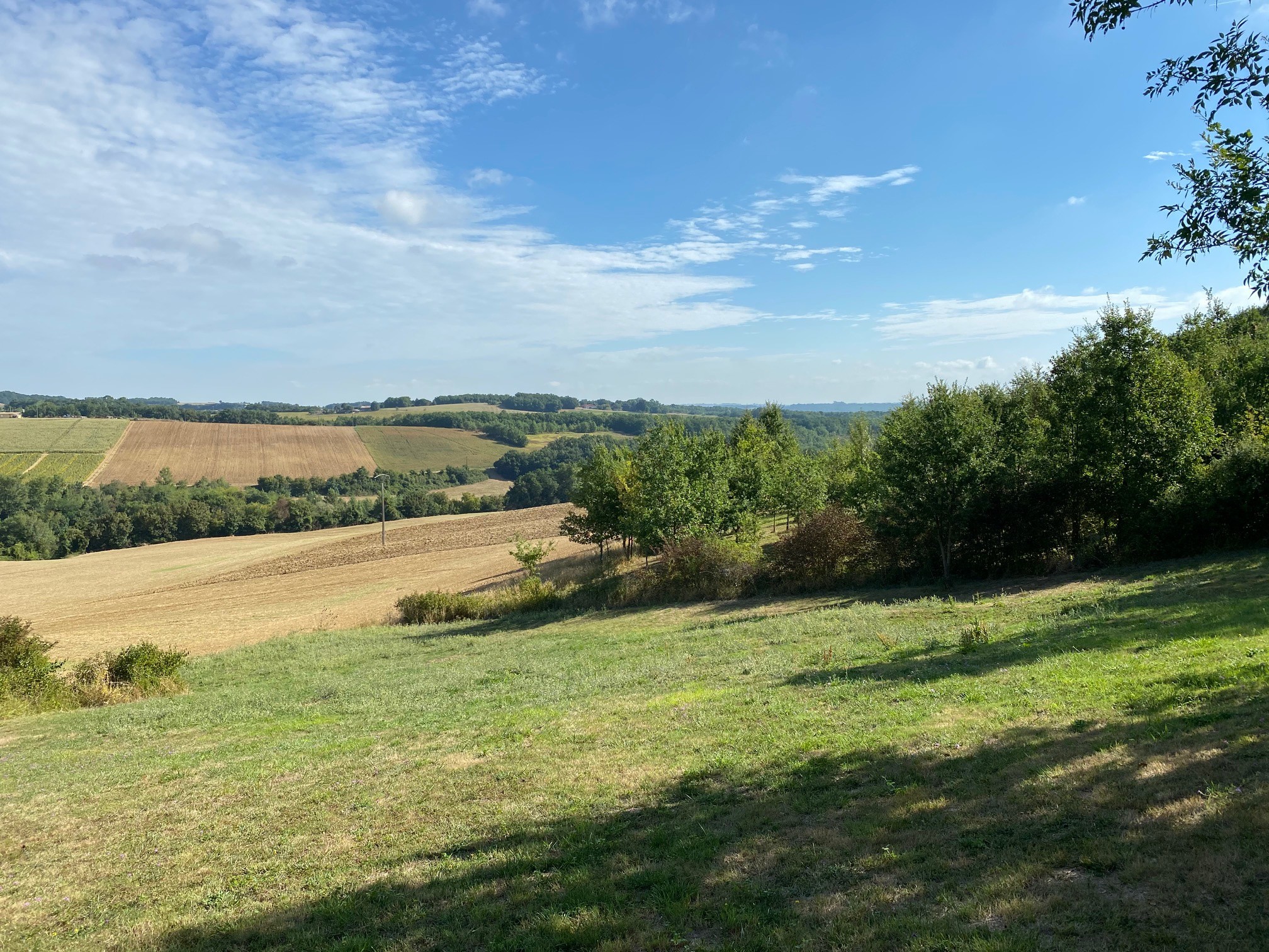 Vente Maison à Layrac 8 pièces