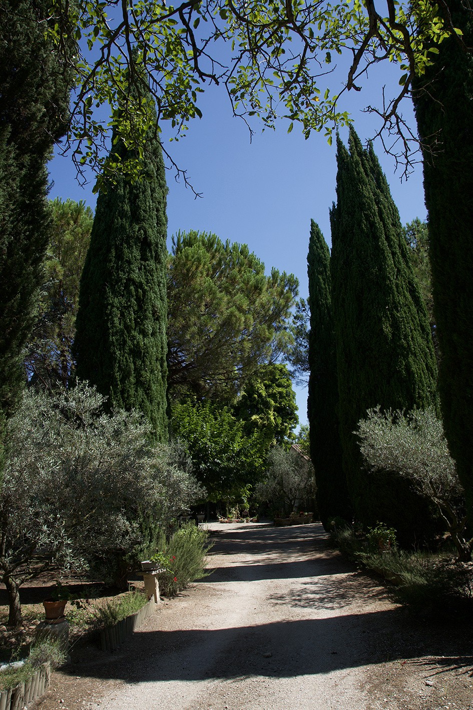 Vente Maison à Saint-Rémy-de-Provence 5 pièces