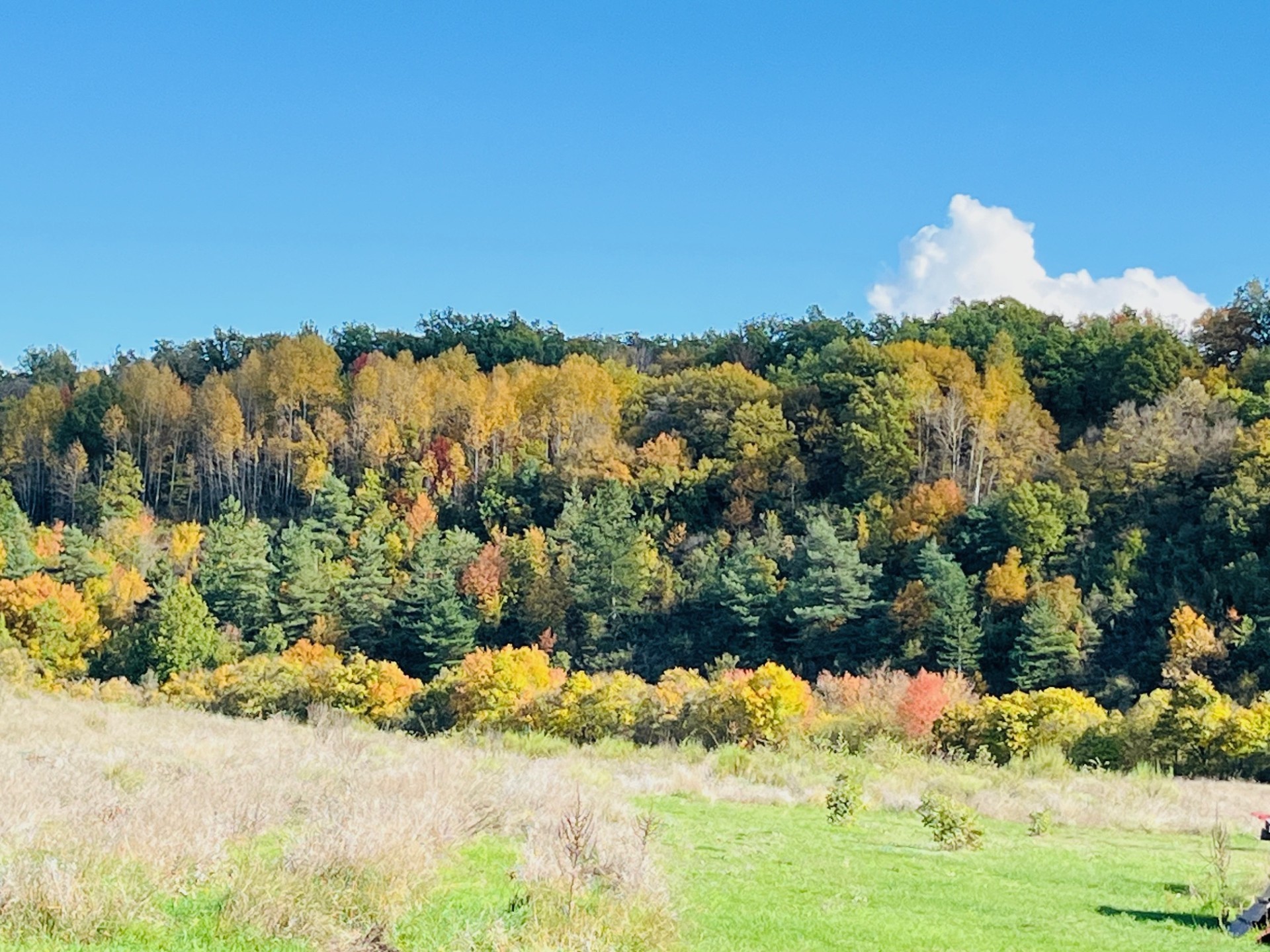 Vente Maison à Sault 12 pièces