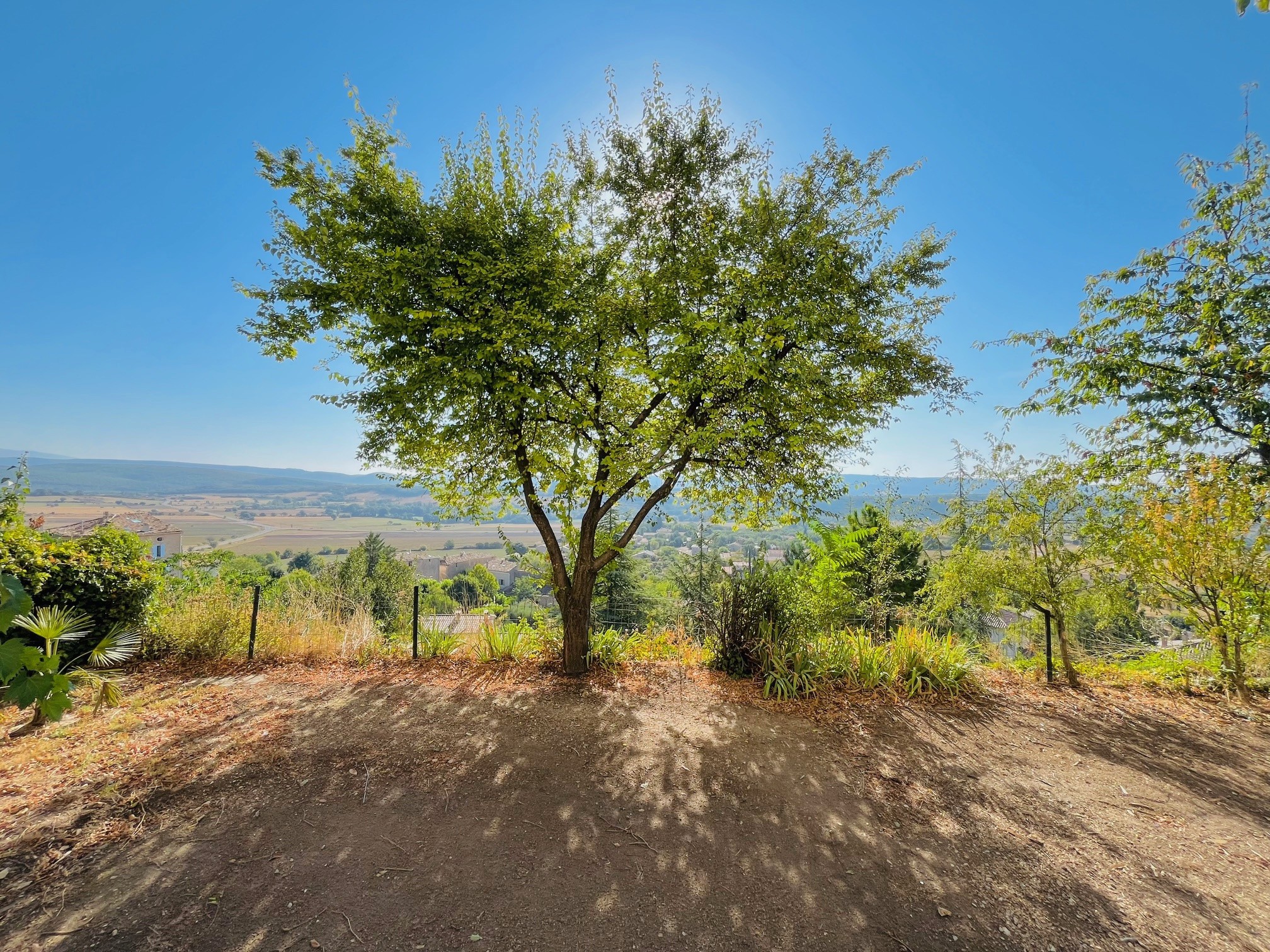 Vente Maison à Simiane-la-Rotonde 6 pièces