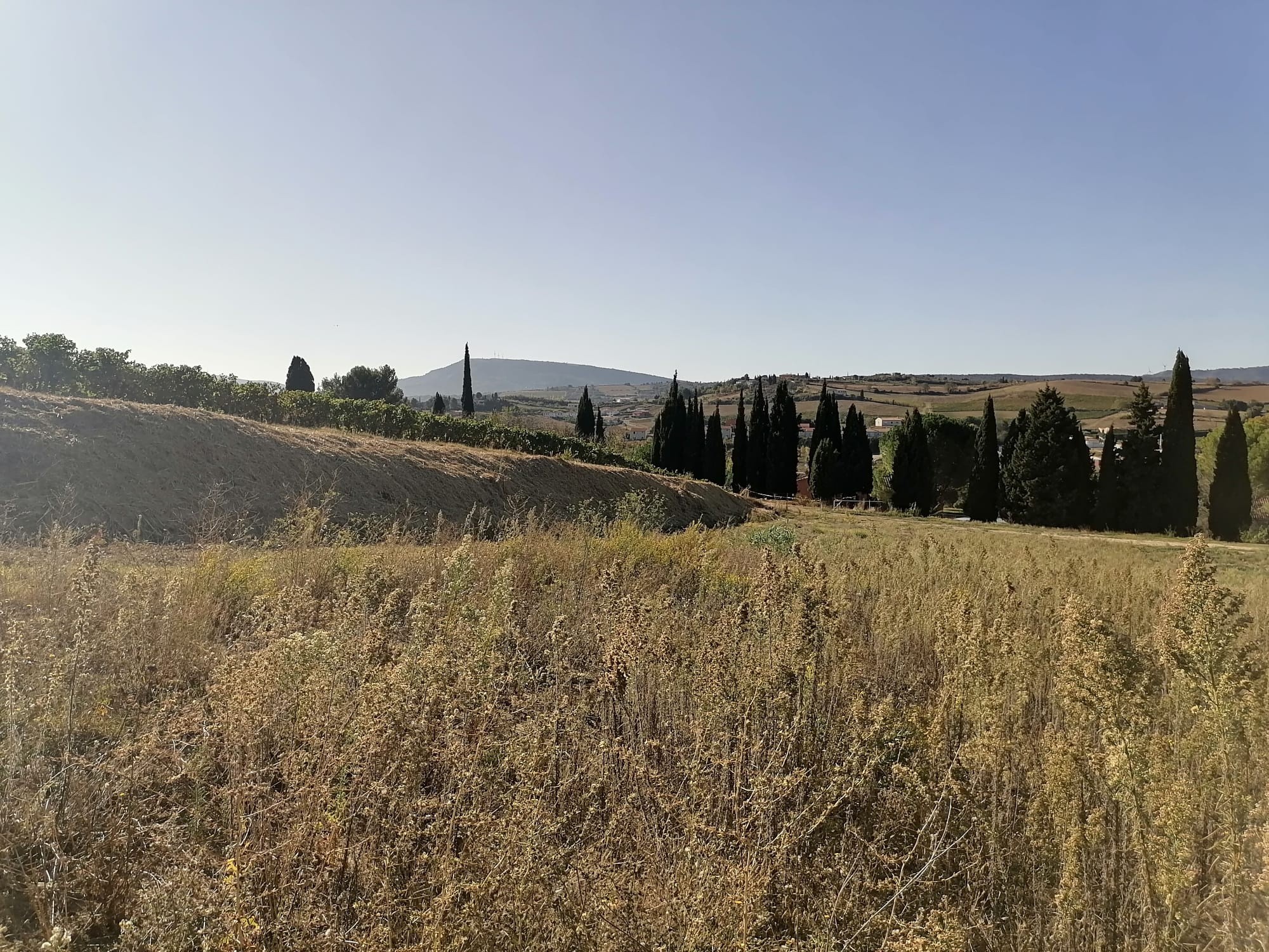 Vente Terrain à Limoux 0 pièce