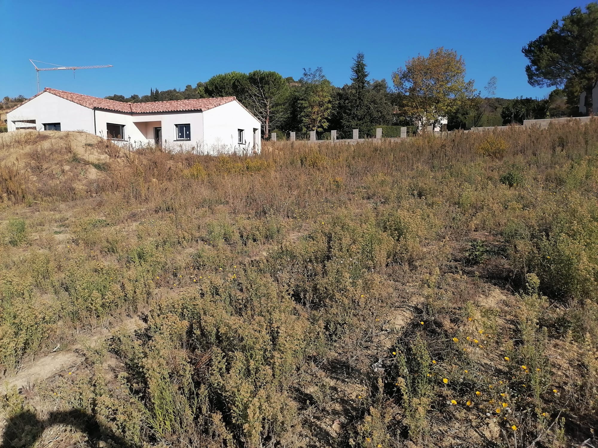 Vente Terrain à Limoux 0 pièce