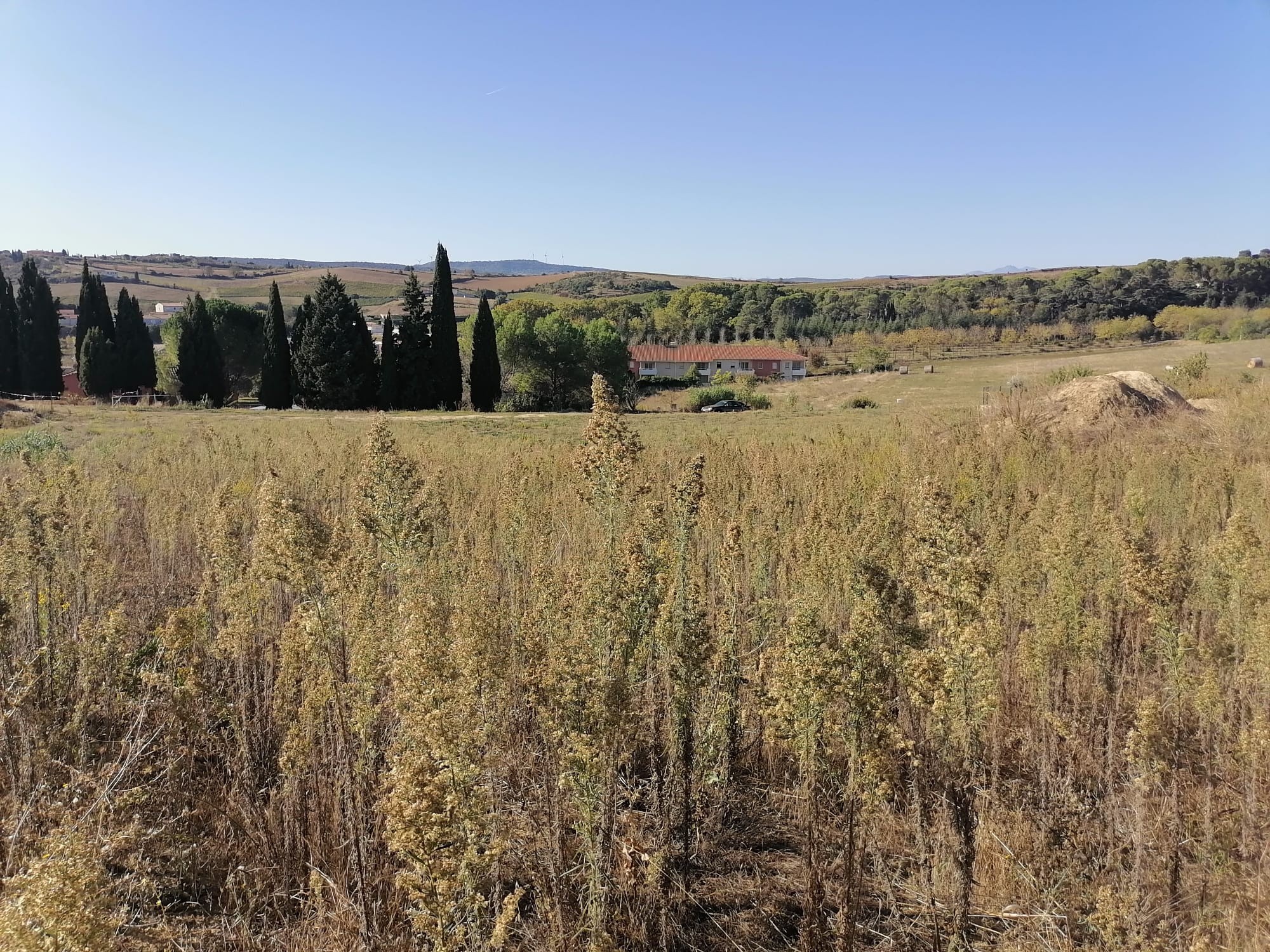 Vente Terrain à Limoux 0 pièce