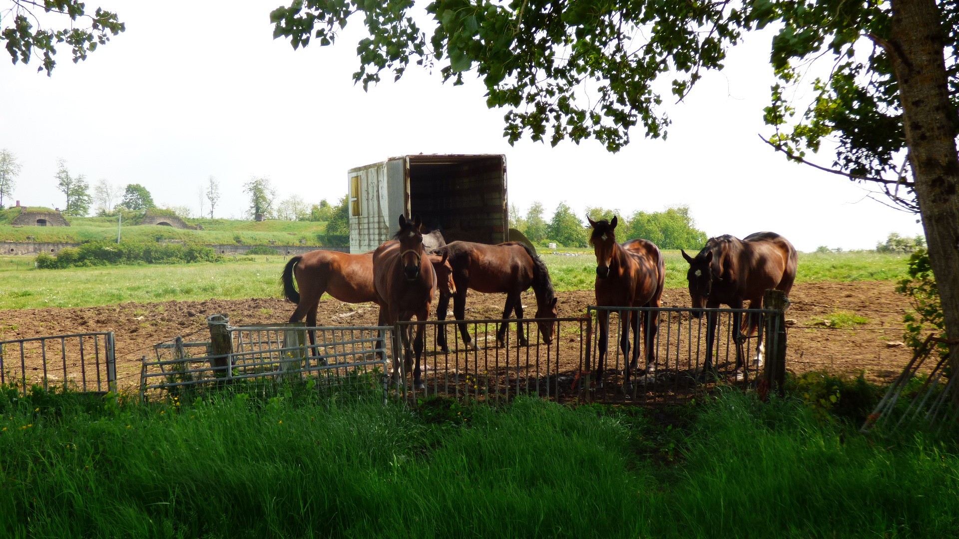 Vente Maison à Haute-Amance 8 pièces