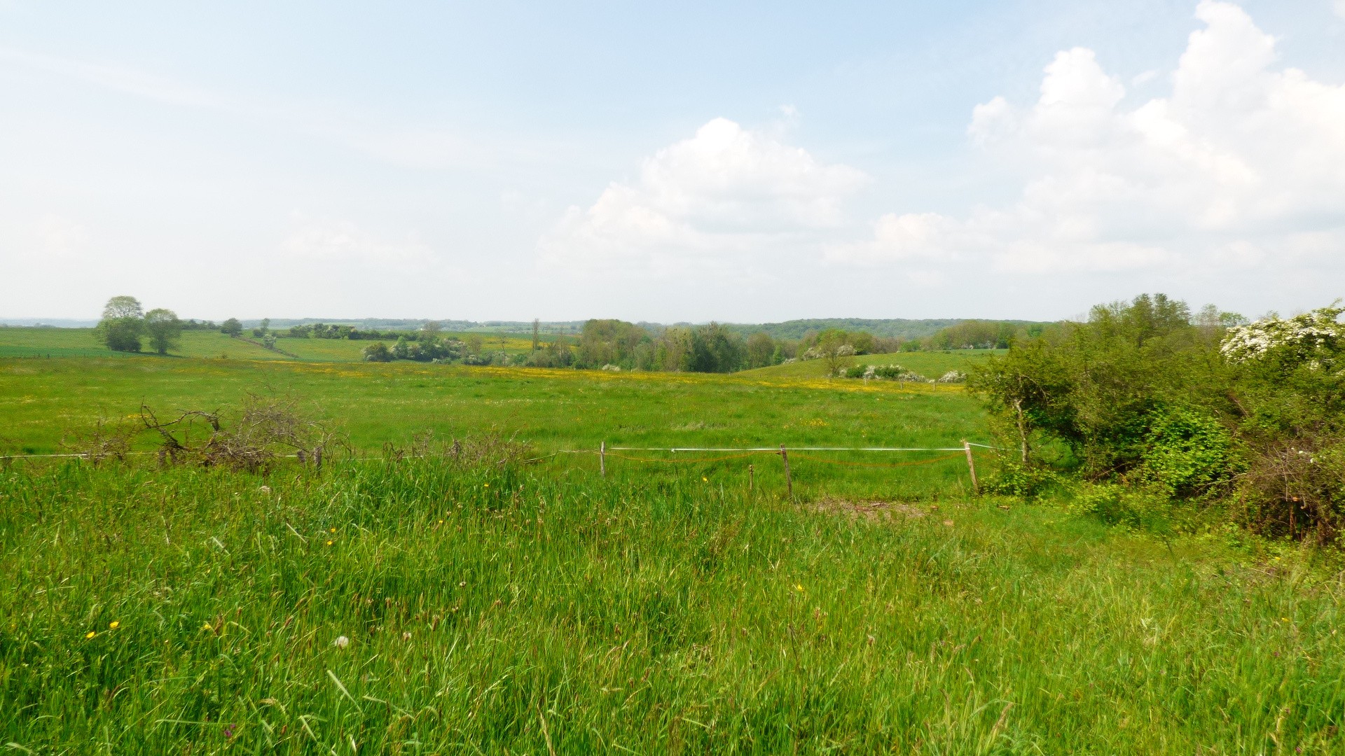 Vente Maison à Haute-Amance 8 pièces