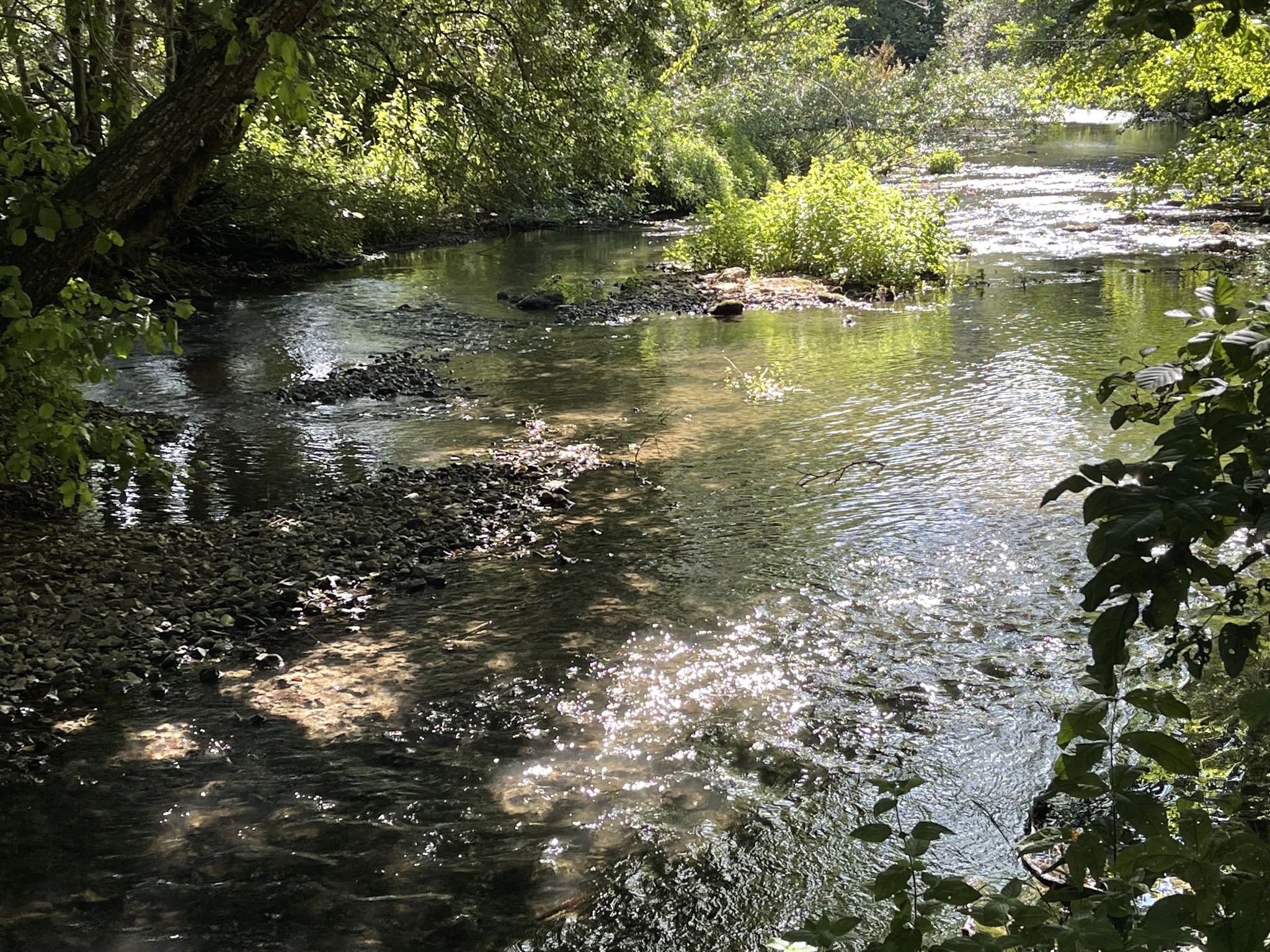 Vente Maison à Coulombiers 7 pièces