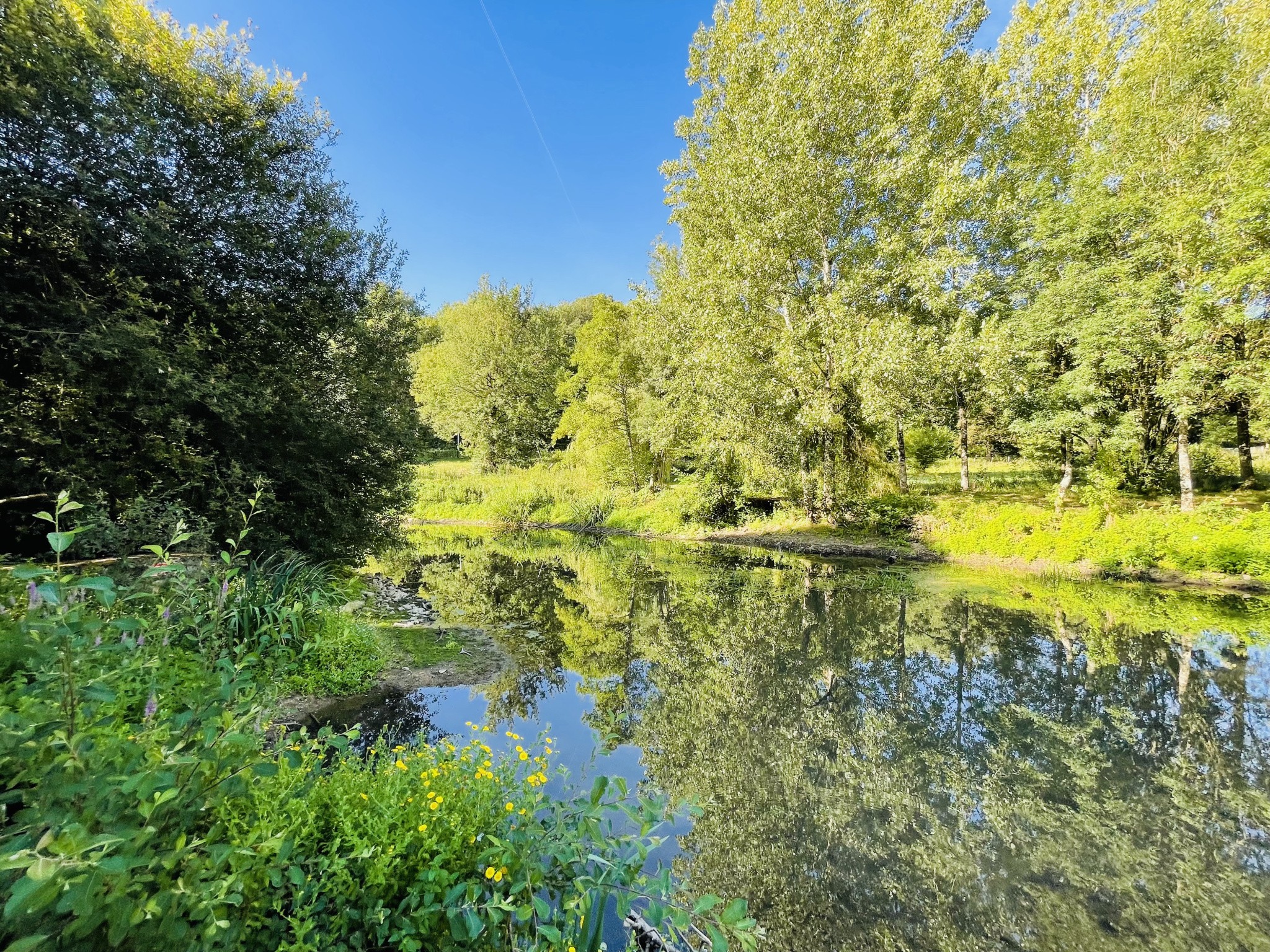 Vente Maison à Coulombiers 7 pièces