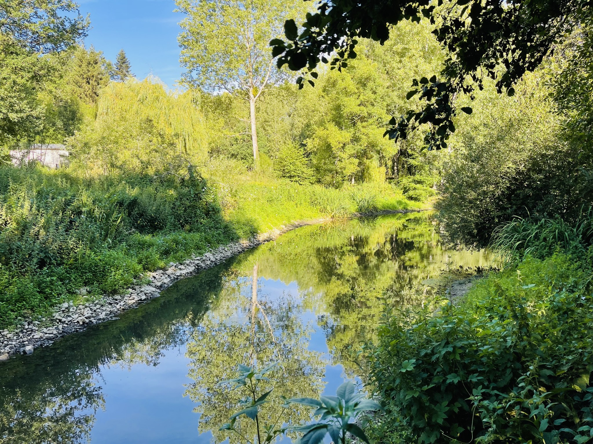 Vente Maison à Coulombiers 7 pièces