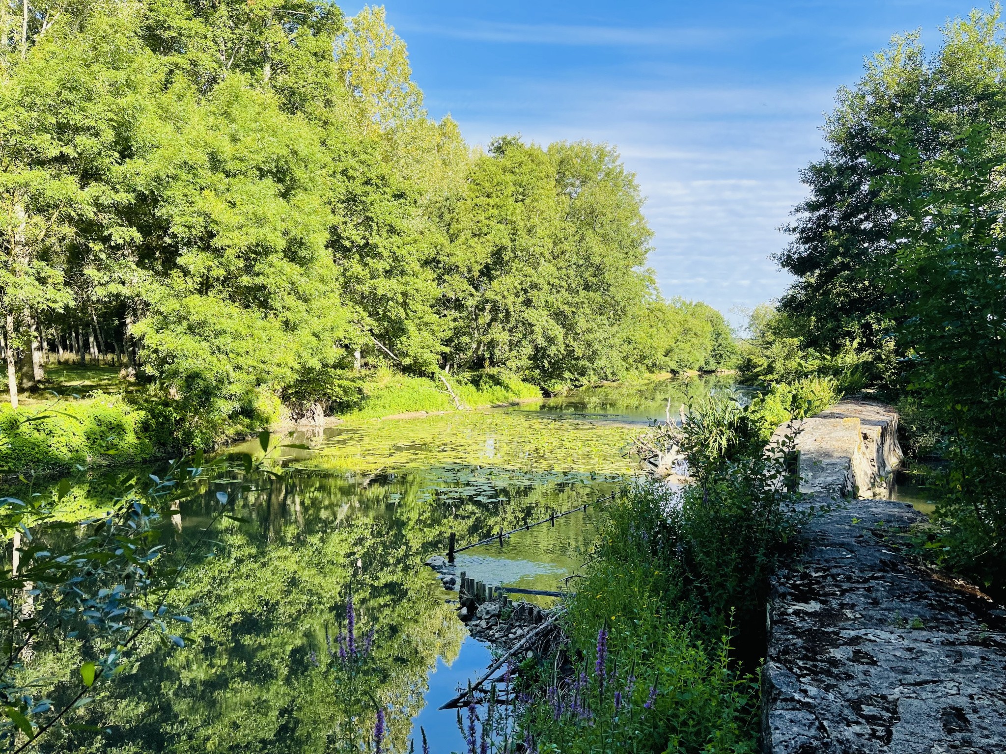 Vente Maison à Coulombiers 7 pièces