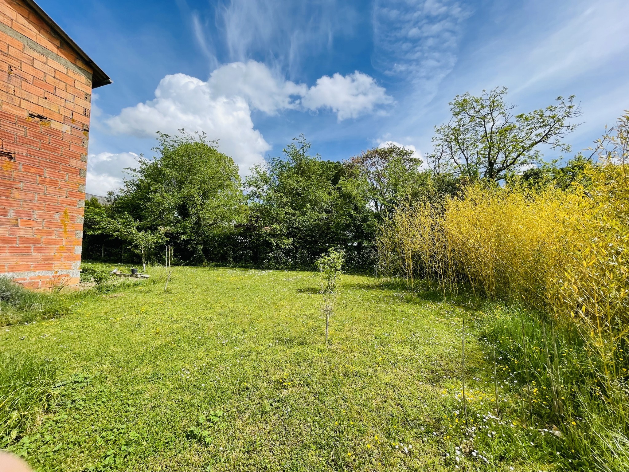 Vente Terrain à Neuville-de-Poitou 0 pièce