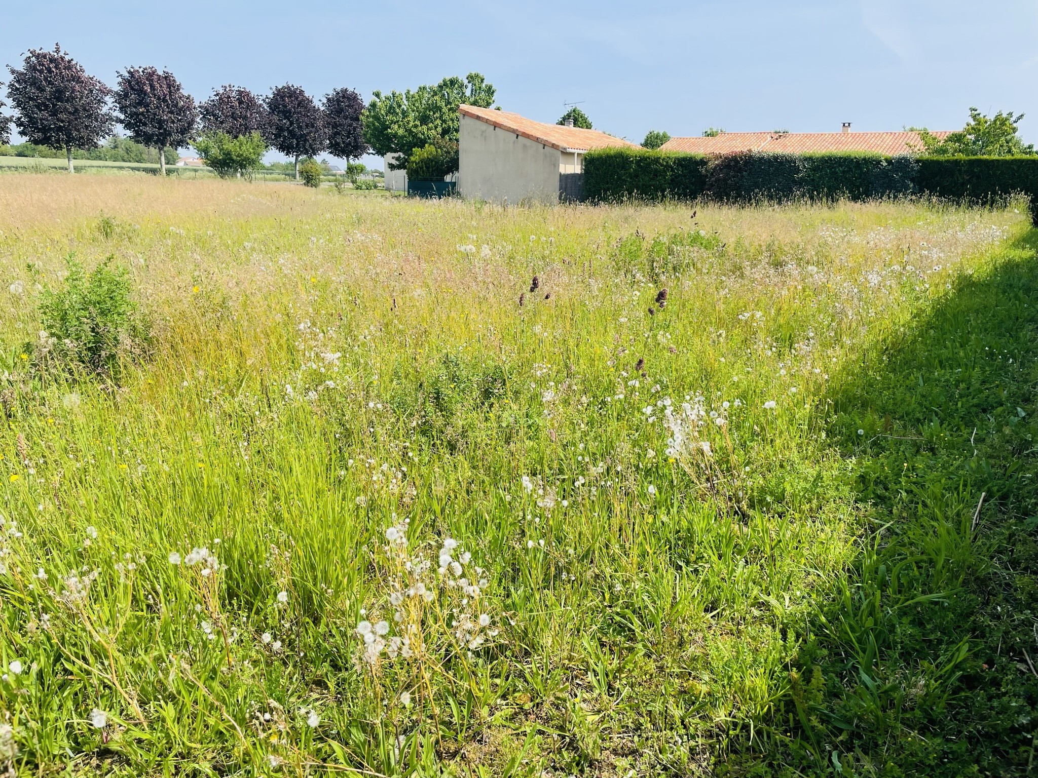 Vente Terrain à Cissé 0 pièce