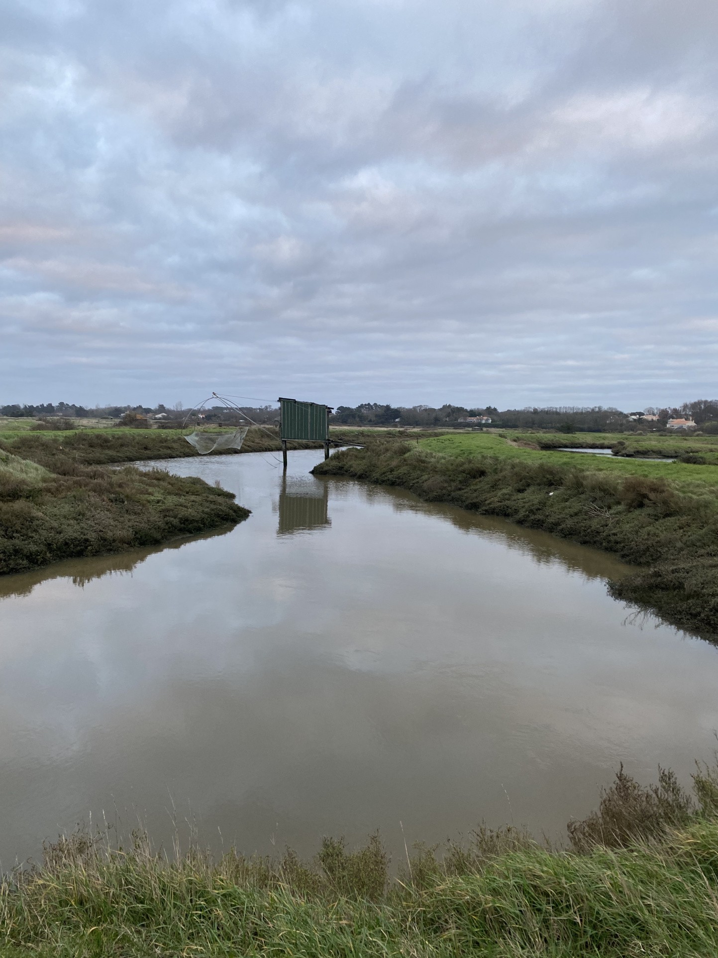 Vente Terrain à Saint-Hilaire-de-Riez 0 pièce