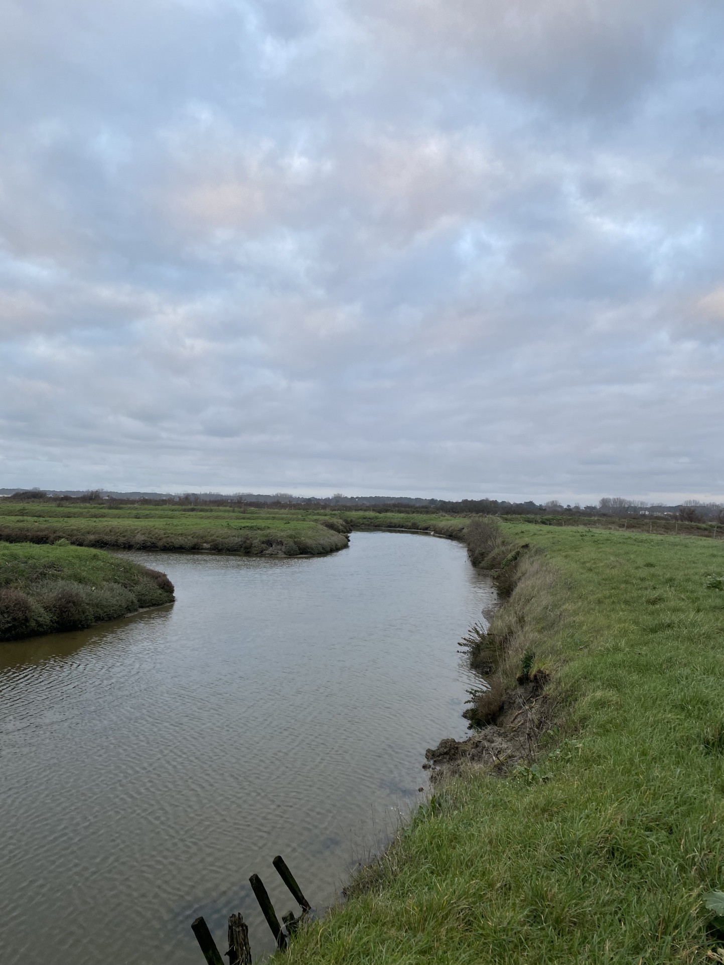 Vente Terrain à Saint-Hilaire-de-Riez 0 pièce