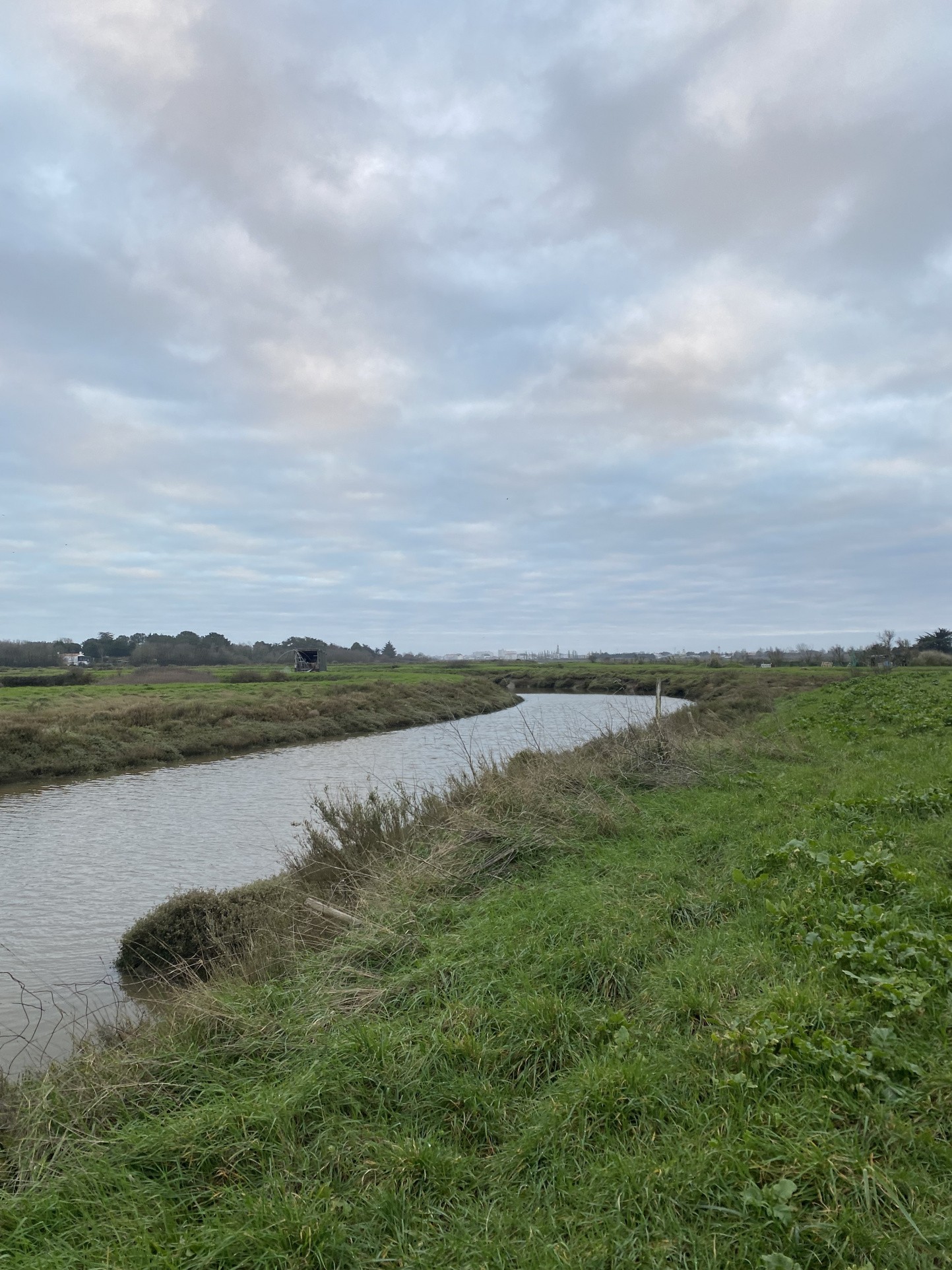 Vente Terrain à Saint-Hilaire-de-Riez 0 pièce