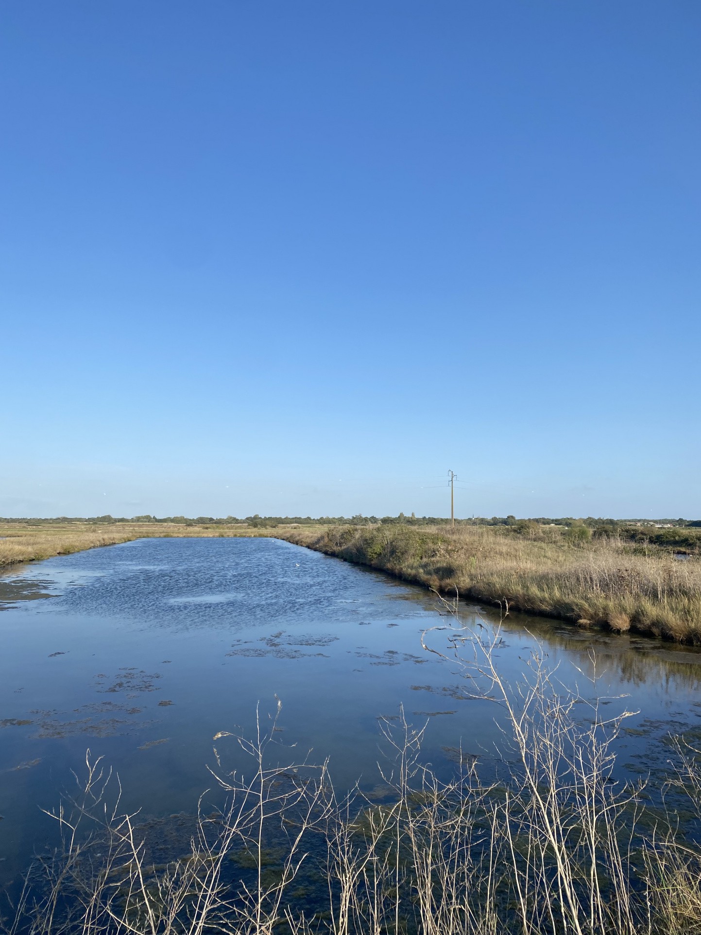 Vente Terrain à Saint-Hilaire-de-Riez 0 pièce