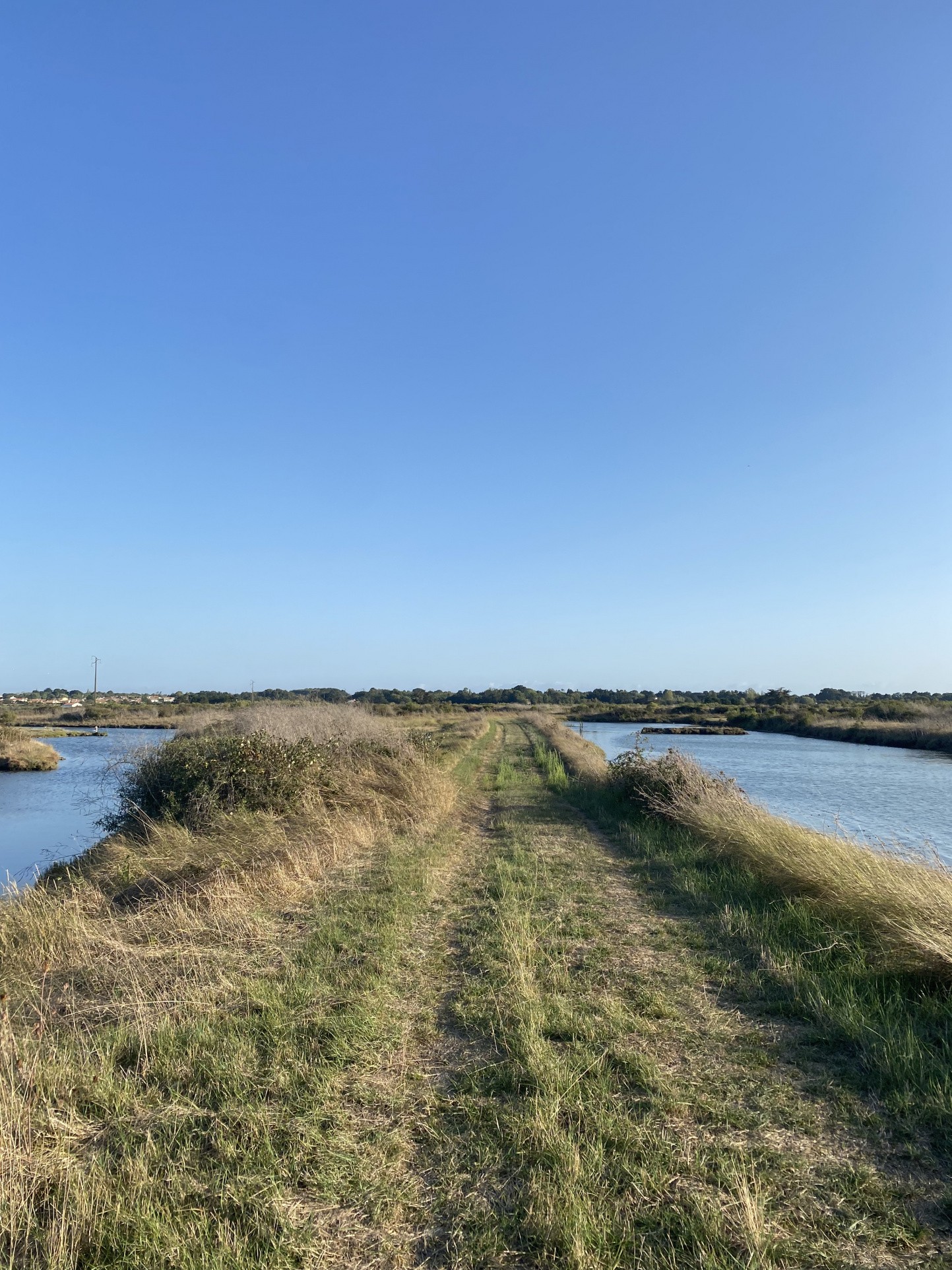 Vente Terrain à Saint-Hilaire-de-Riez 0 pièce