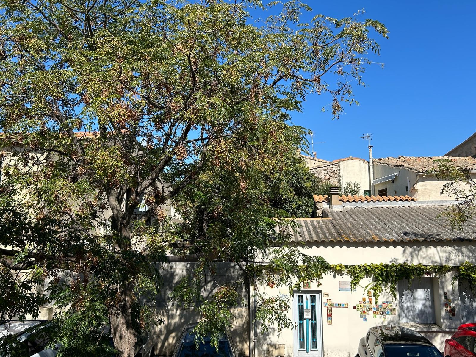 Vente Appartement à Villeneuve-lès-Maguelone 2 pièces