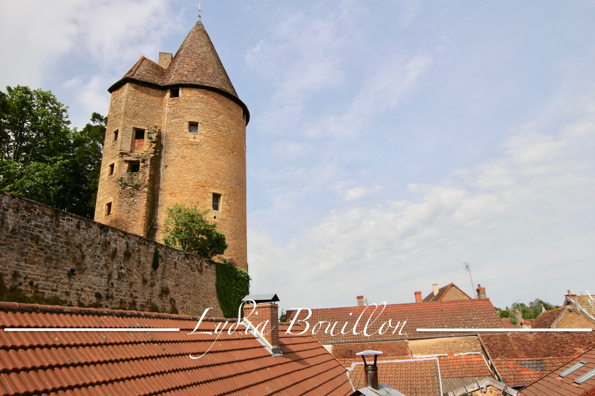 Vente Bureau / Commerce à Mâcon 10 pièces