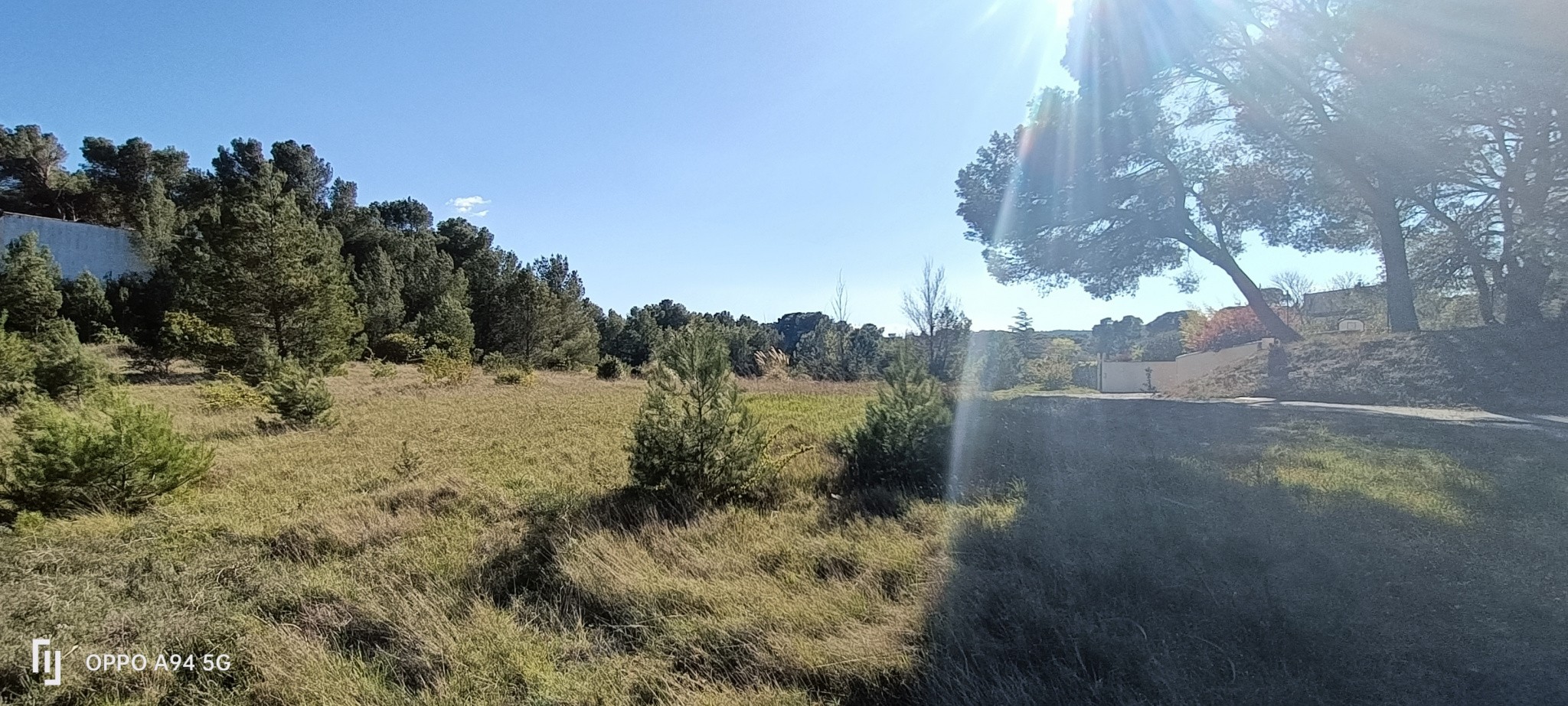 Vente Terrain à Lézignan-Corbières 0 pièce