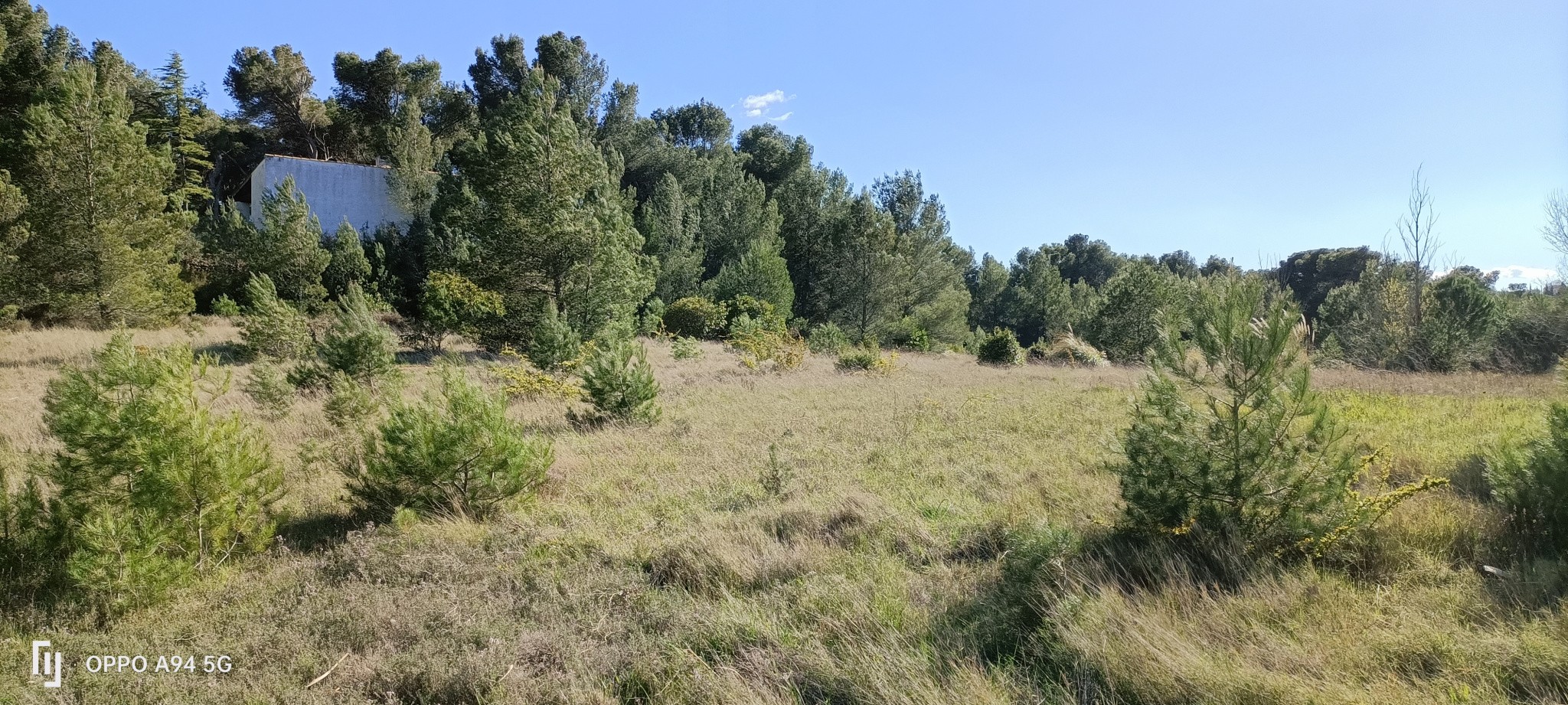 Vente Terrain à Lézignan-Corbières 0 pièce