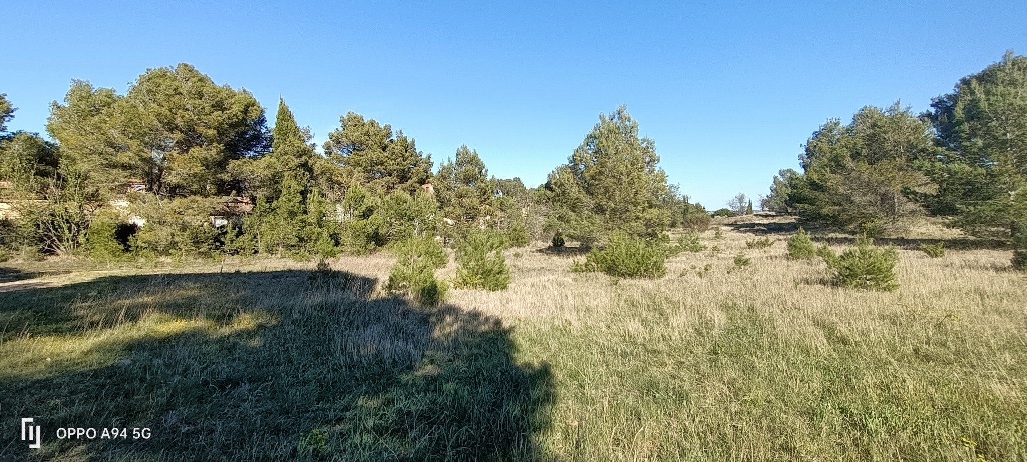 Vente Terrain à Lézignan-Corbières 0 pièce