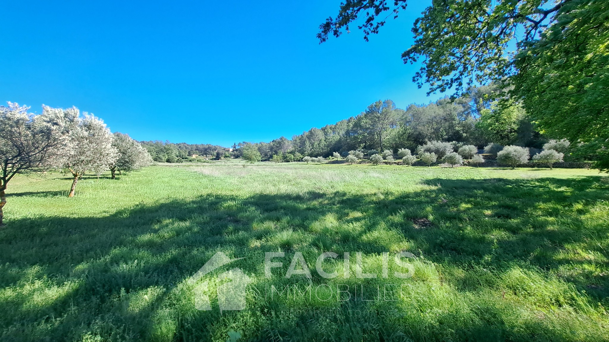 Vente Maison à Lorgues 9 pièces