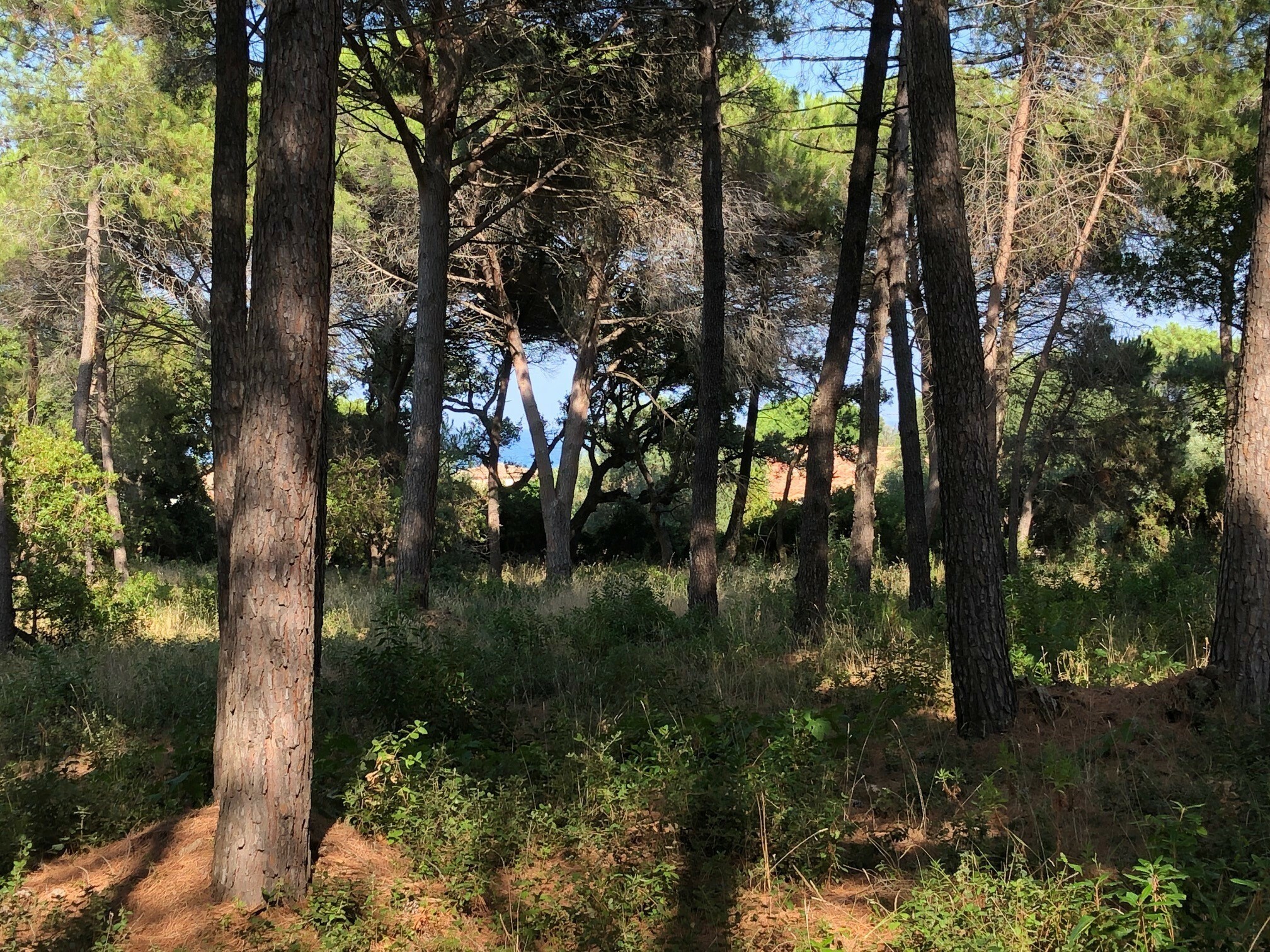 Vente Maison à Sainte-Maxime 4 pièces