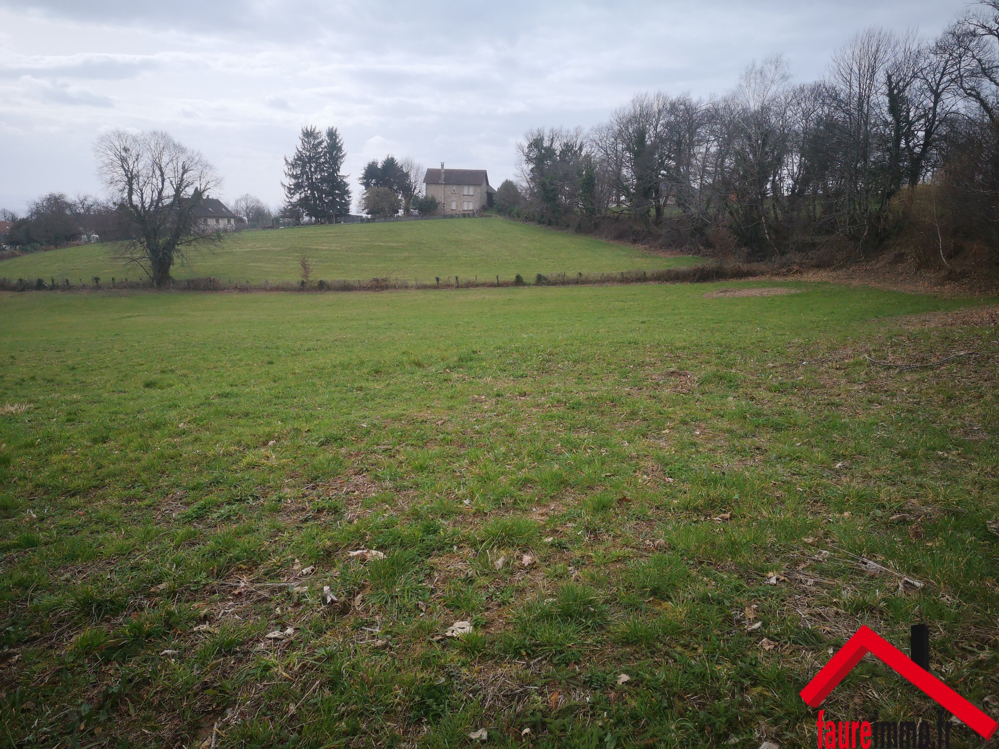 Vente Terrain à Sainte-Féréole 0 pièce