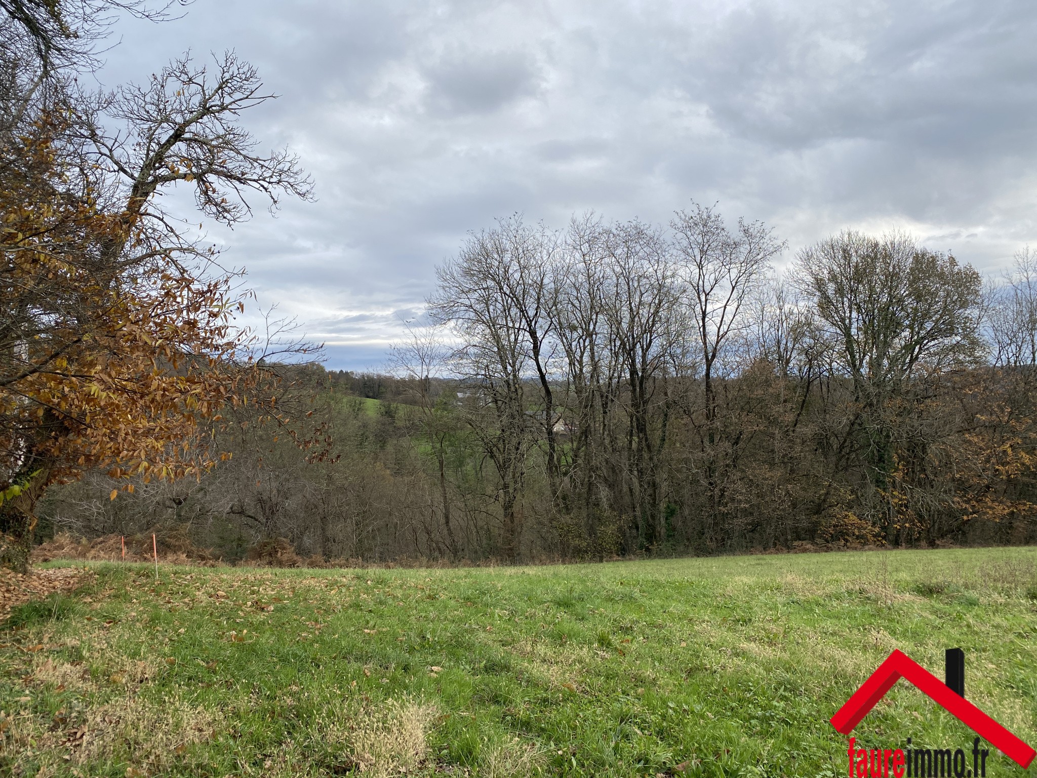 Vente Terrain à Sainte-Féréole 0 pièce