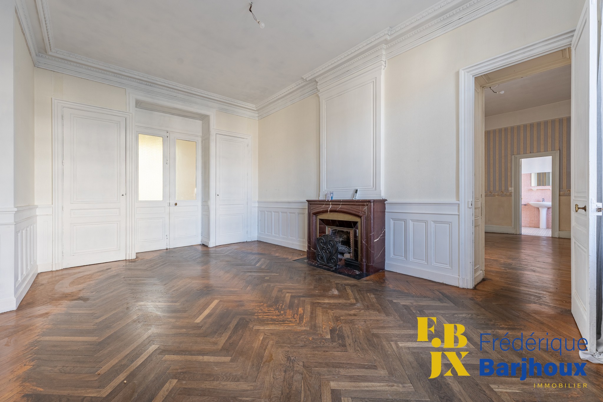 Vente Appartement à Villeurbanne 8 pièces