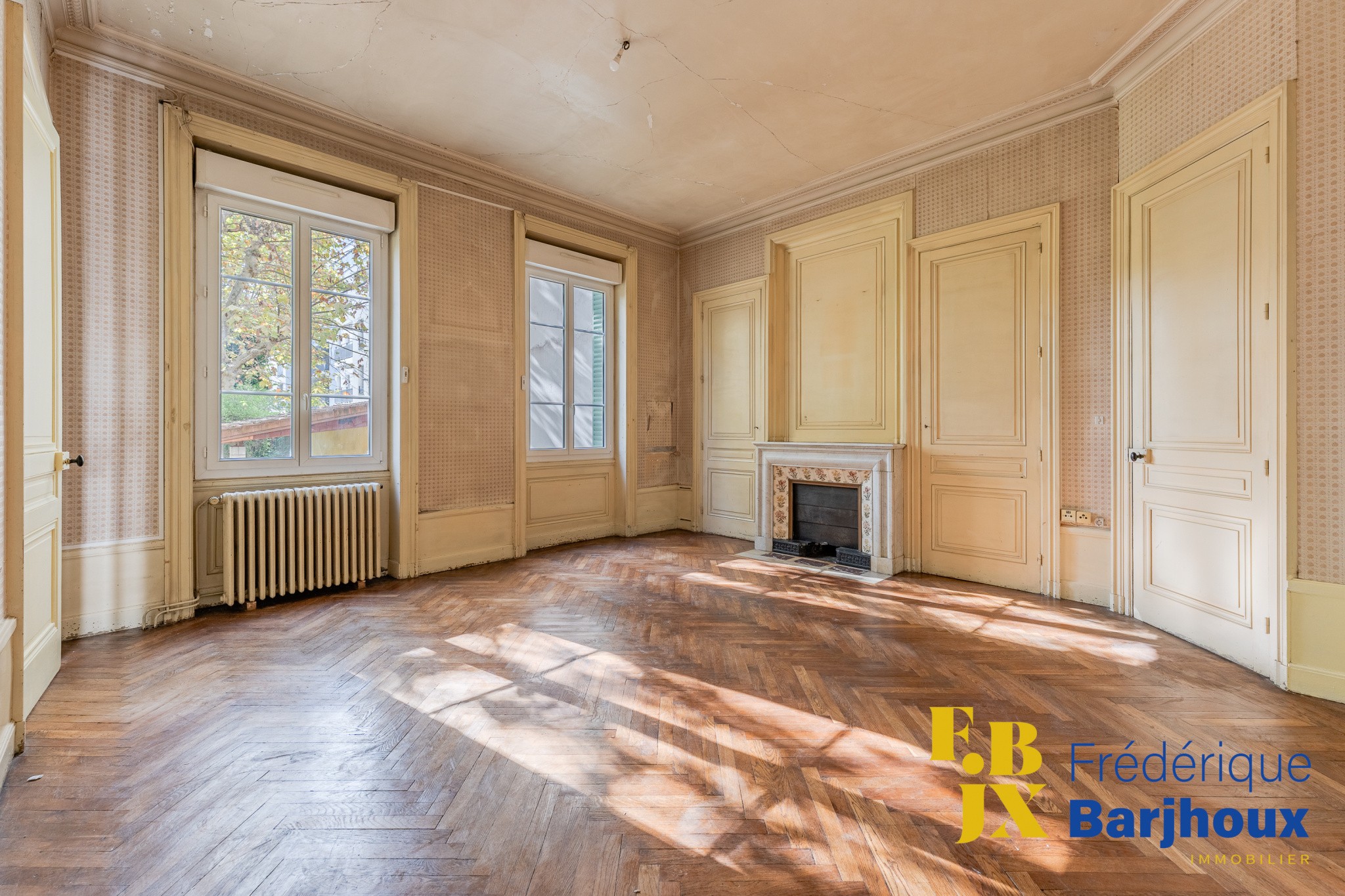 Vente Appartement à Villeurbanne 8 pièces