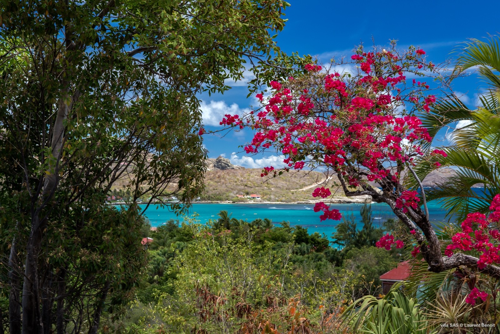 Location Maison à Saint-Barthélemy 3 pièces