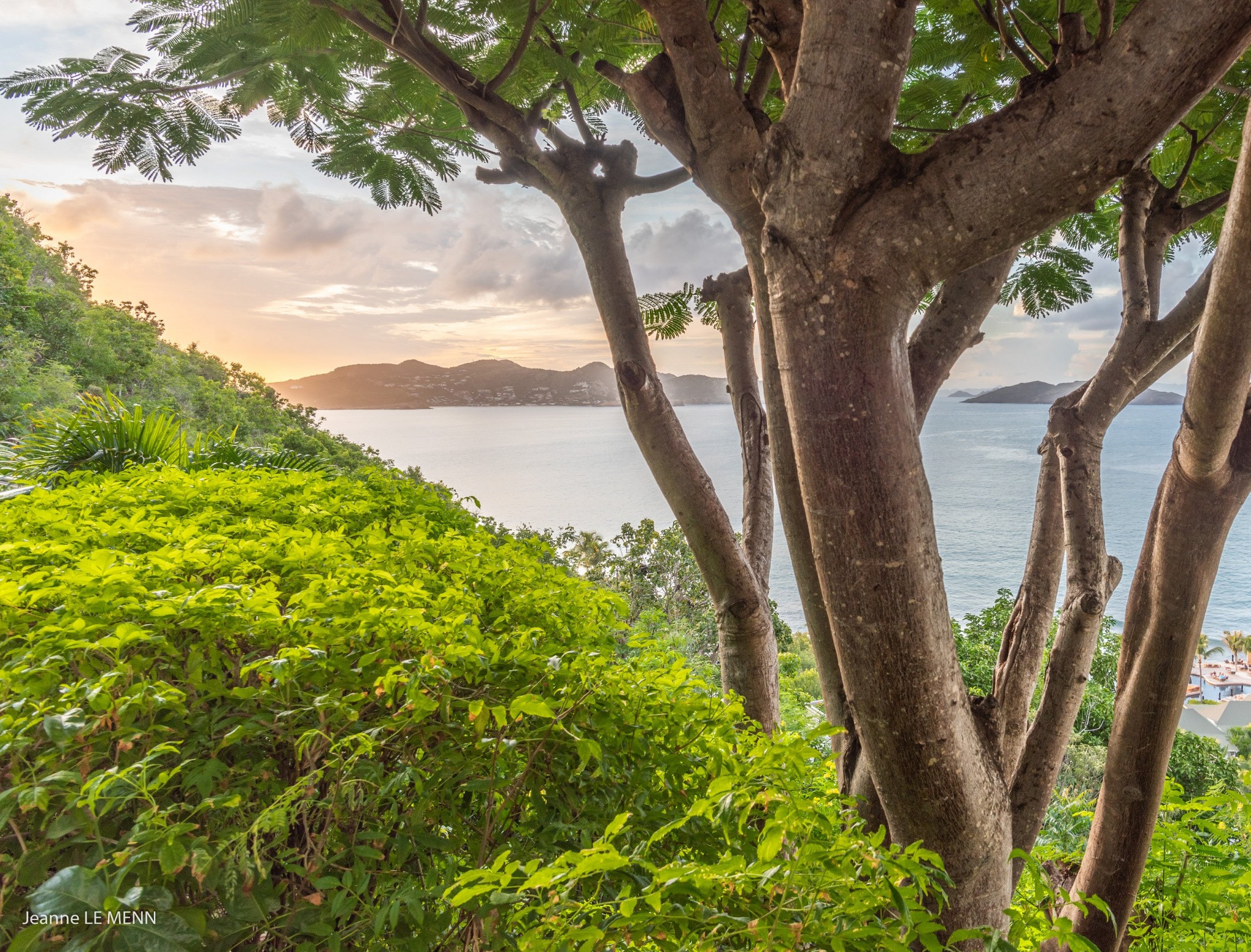 Location Maison à Saint-Barthélemy 2 pièces